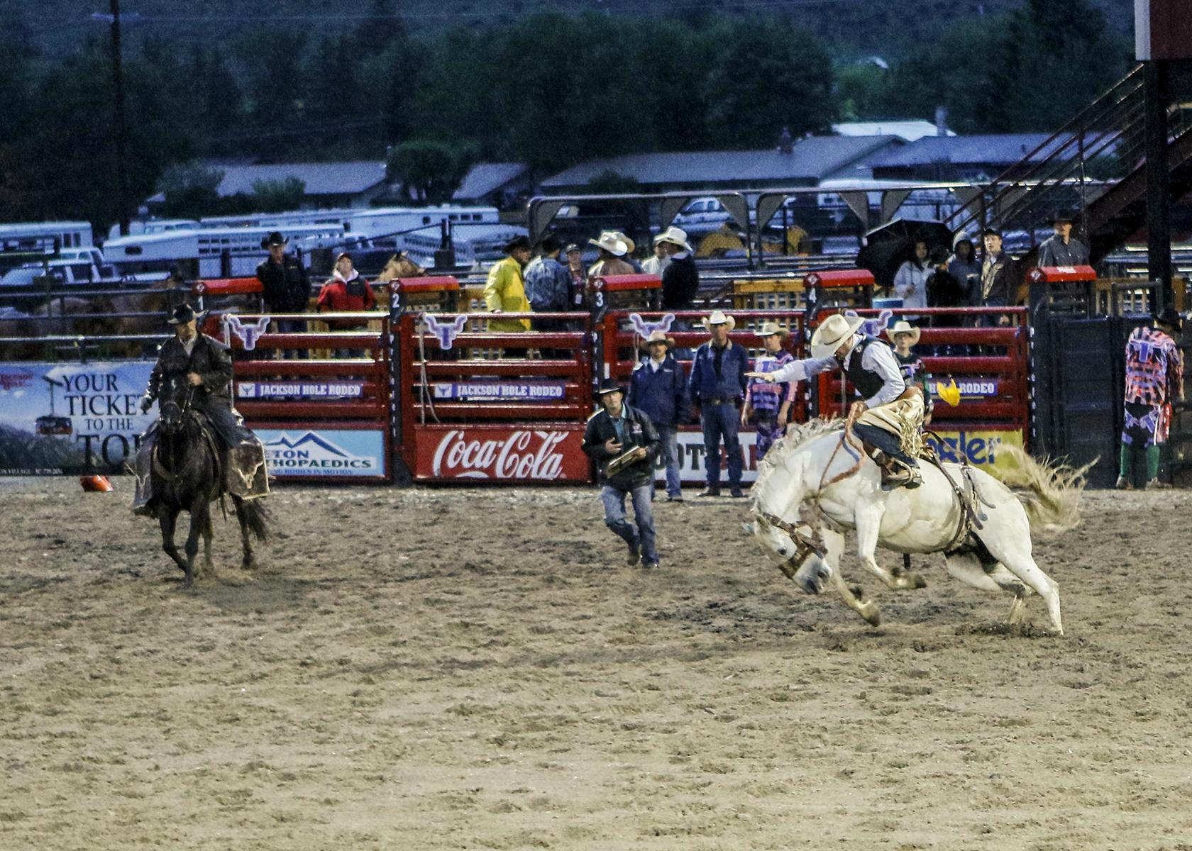 Jackson Hole Rodeo