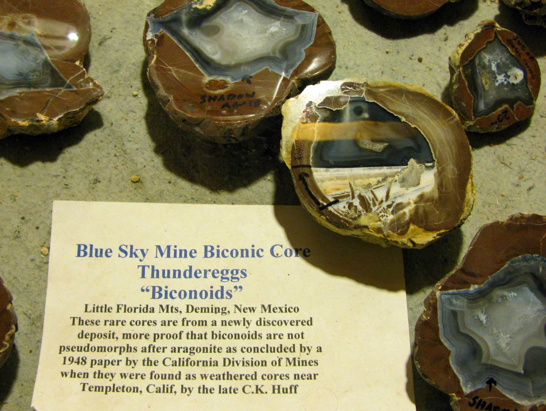 Photo by SDwalkerSOCAL