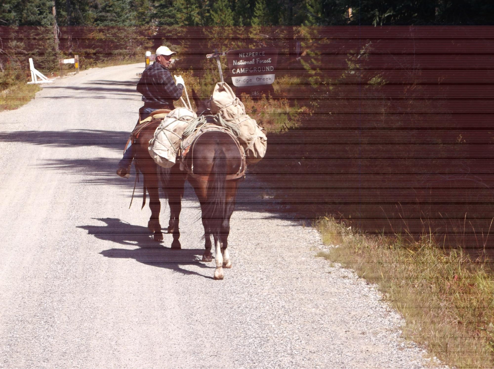 Silver Spur Outfitters