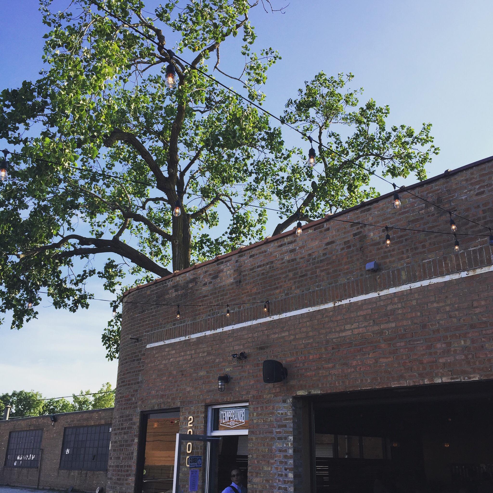 Photo by sasantannafilho