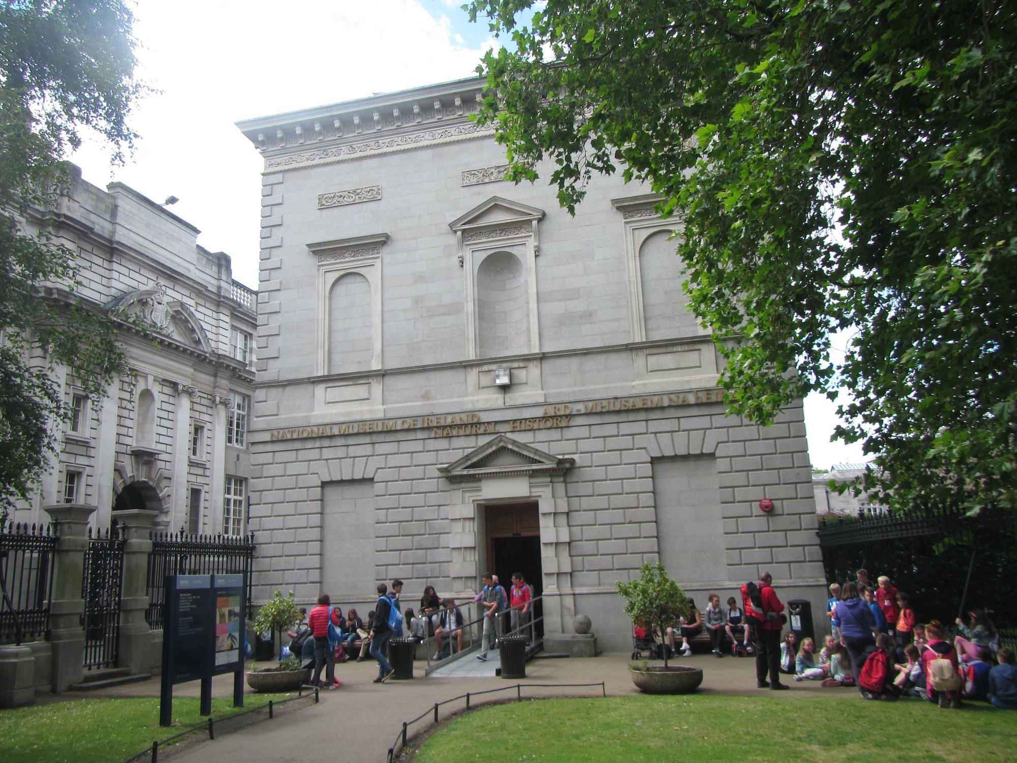 National Museum of Ireland