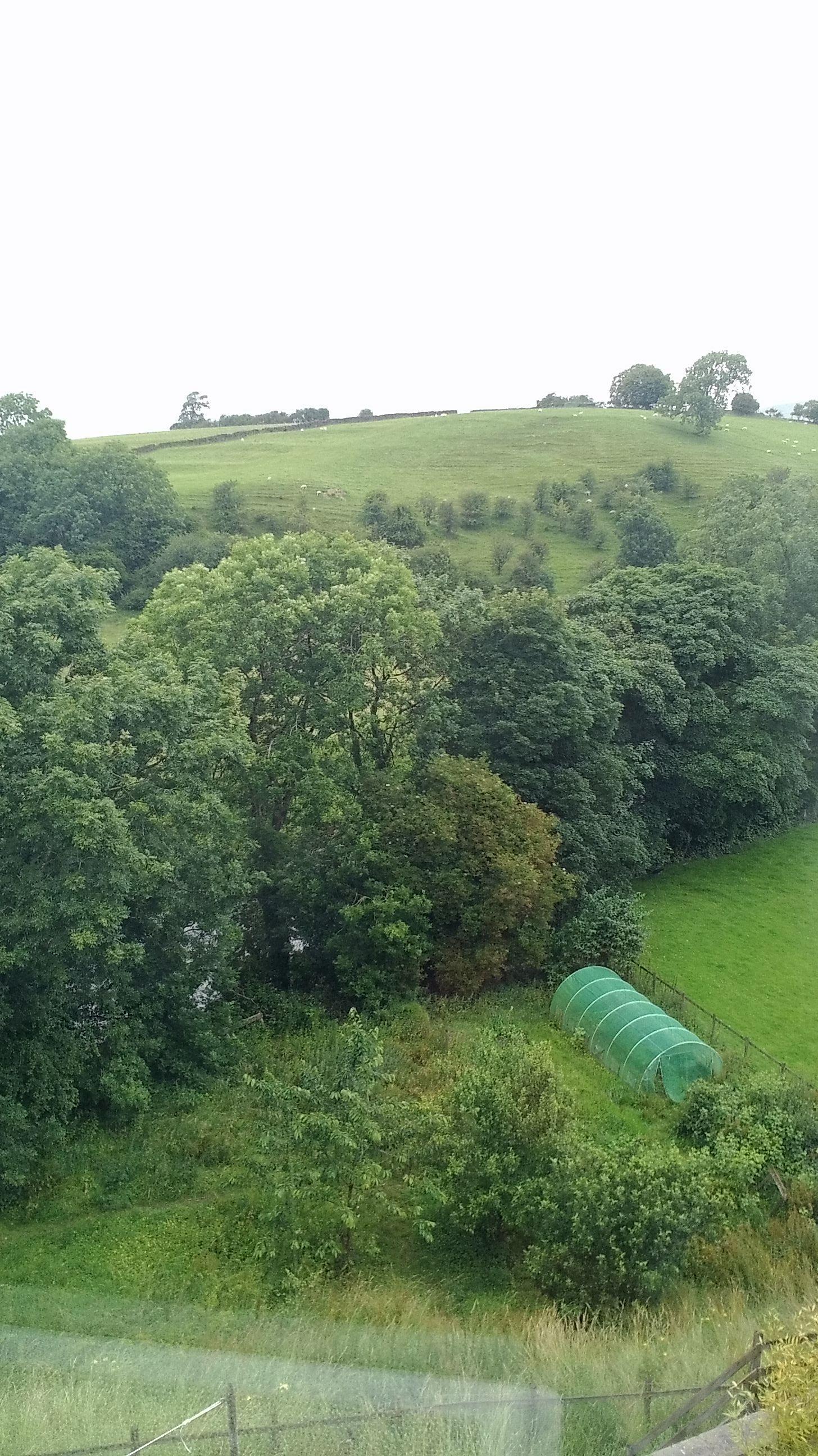 The Dales Guest House