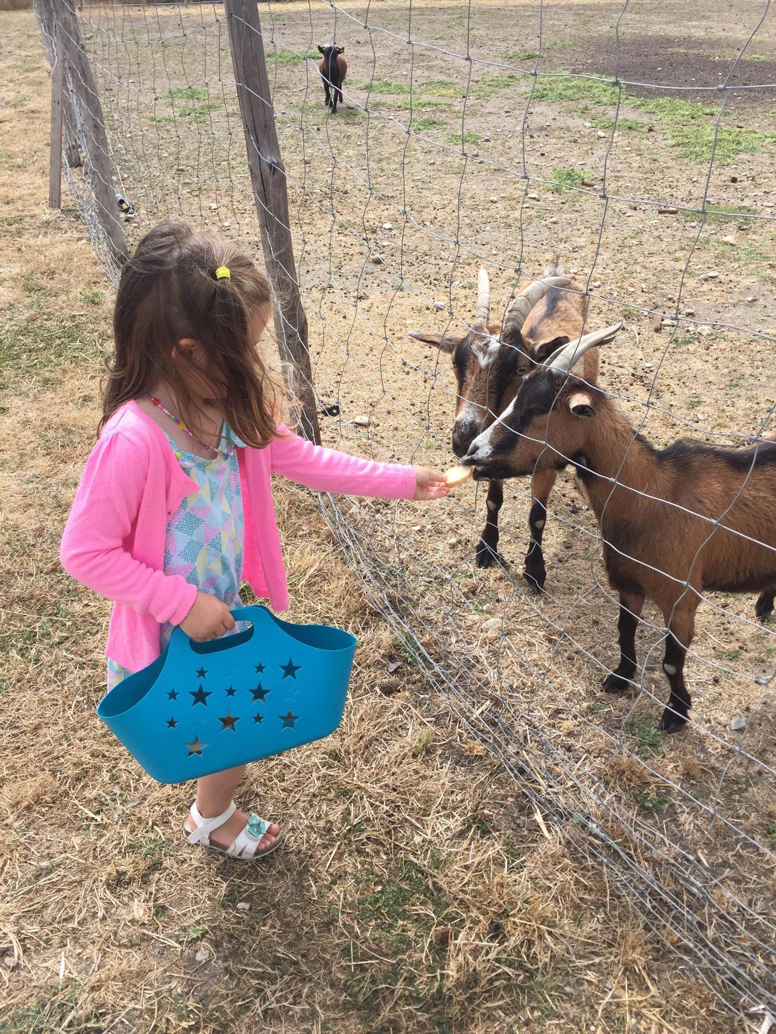 Parc animalier de la matarelle