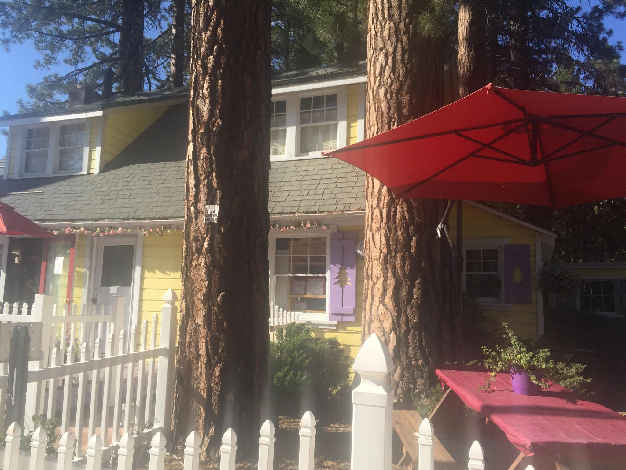 Hot Diggity Dog and Cat