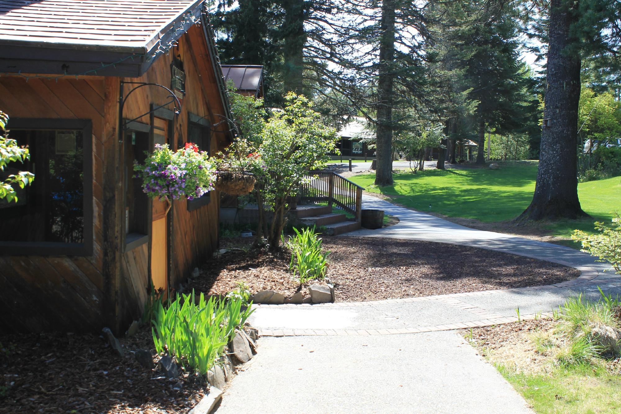 Crooked Tree Tavern & Grill