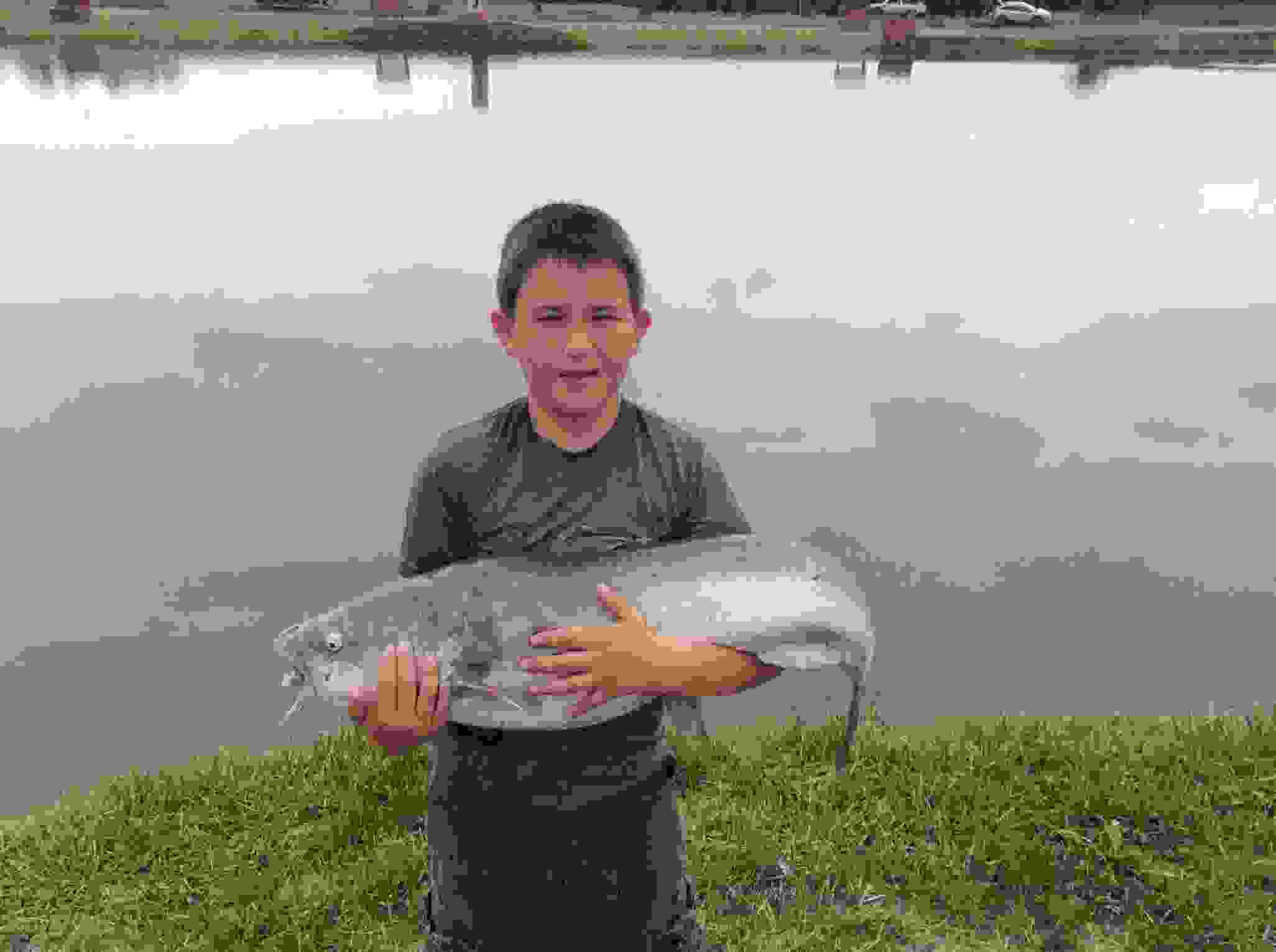 Zetts Tri-State Fish Hatchery