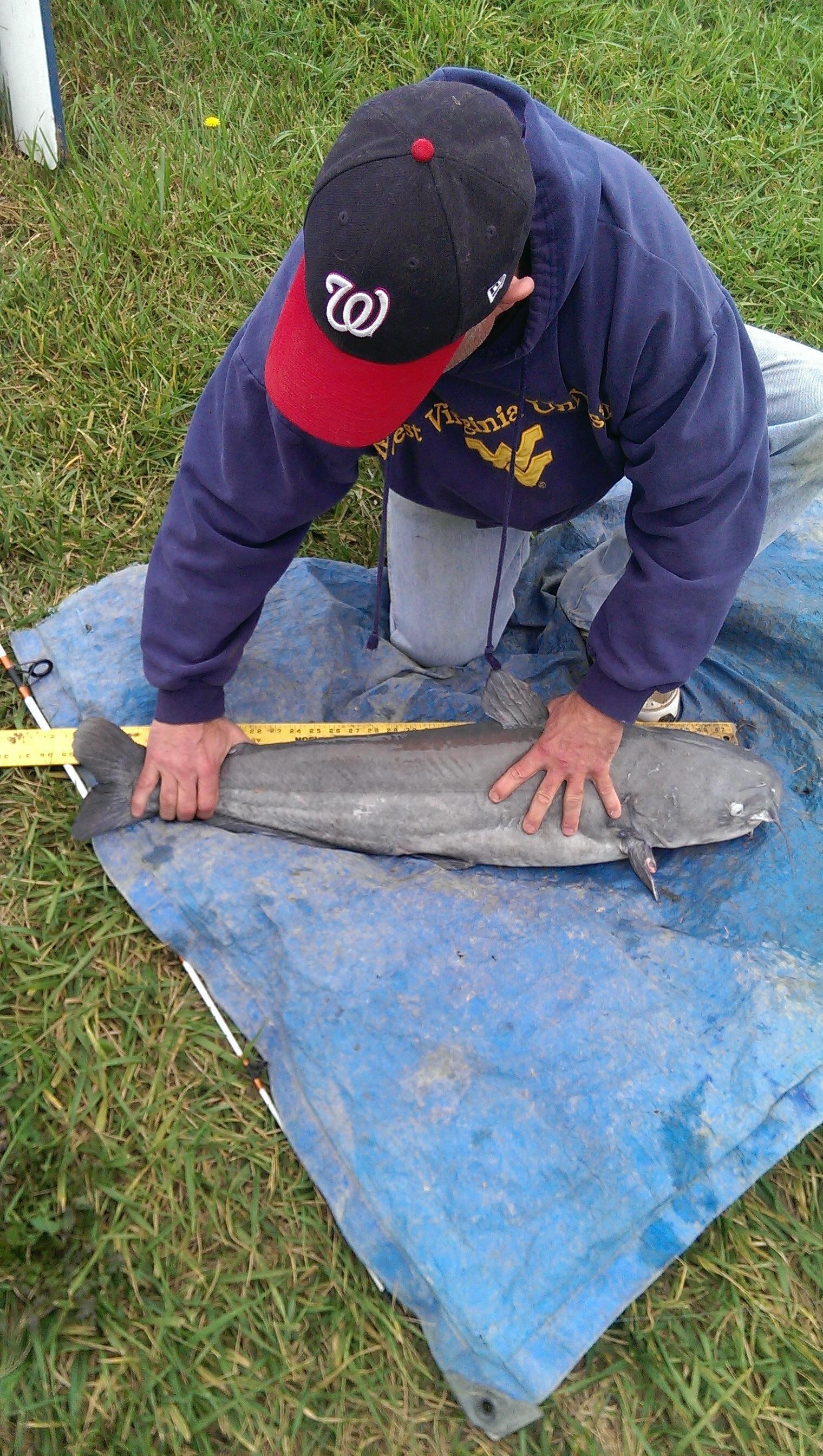 Zetts Tri-State Fish Hatchery