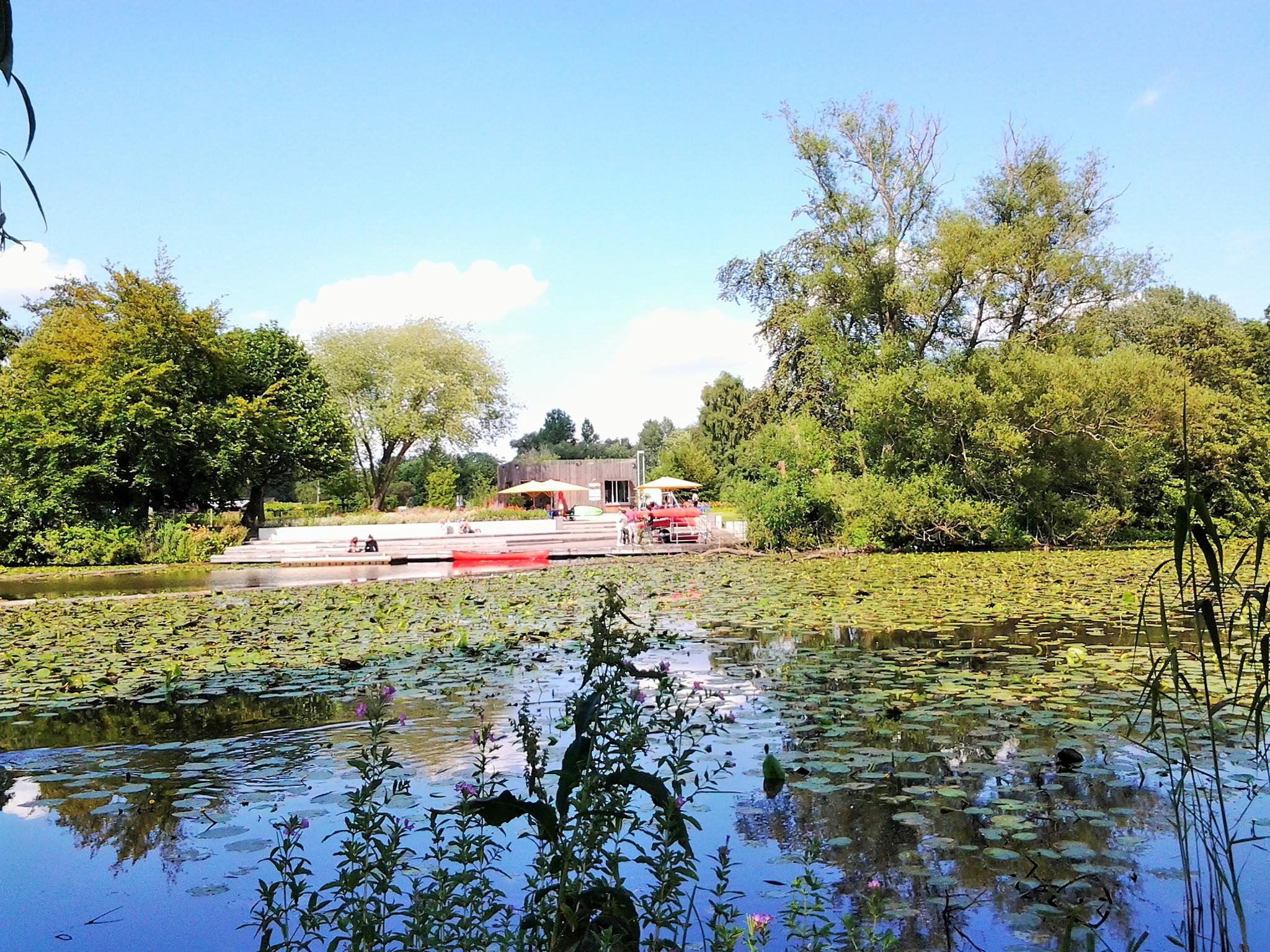 Photo by Chileaficionada