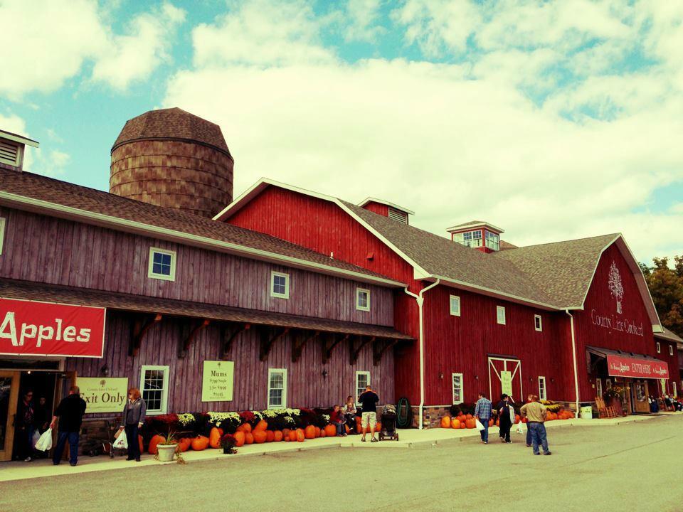 County Line Orchard
