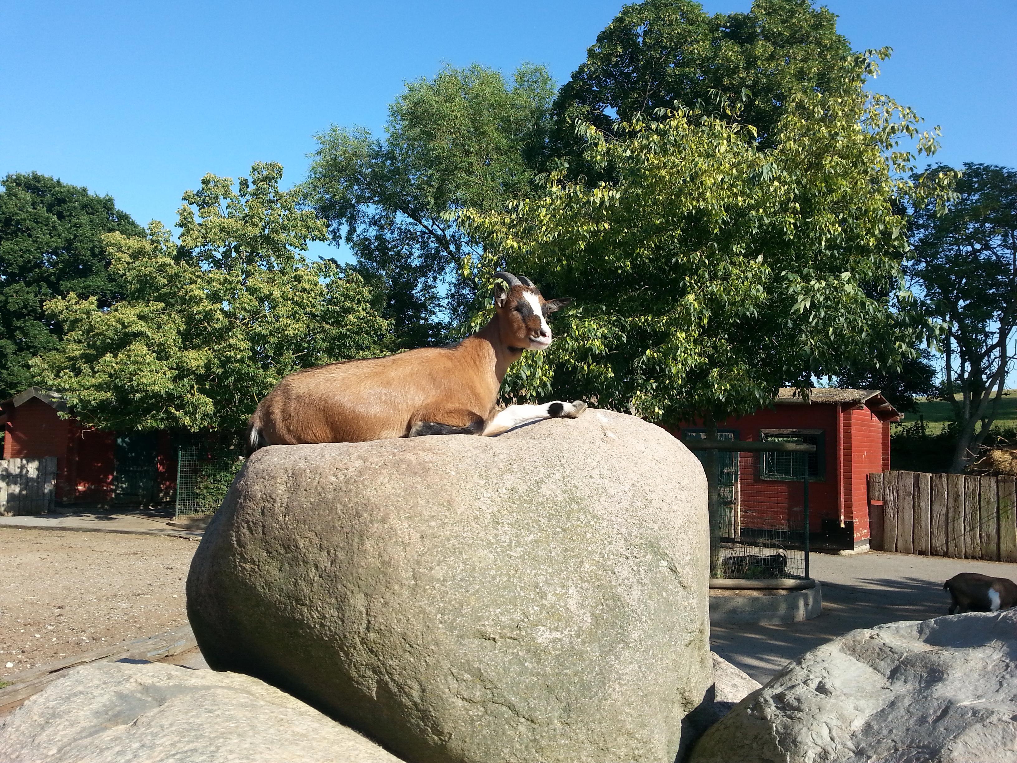 Derr Zoo-Park Arche Noah in Gromitz/Ostsee