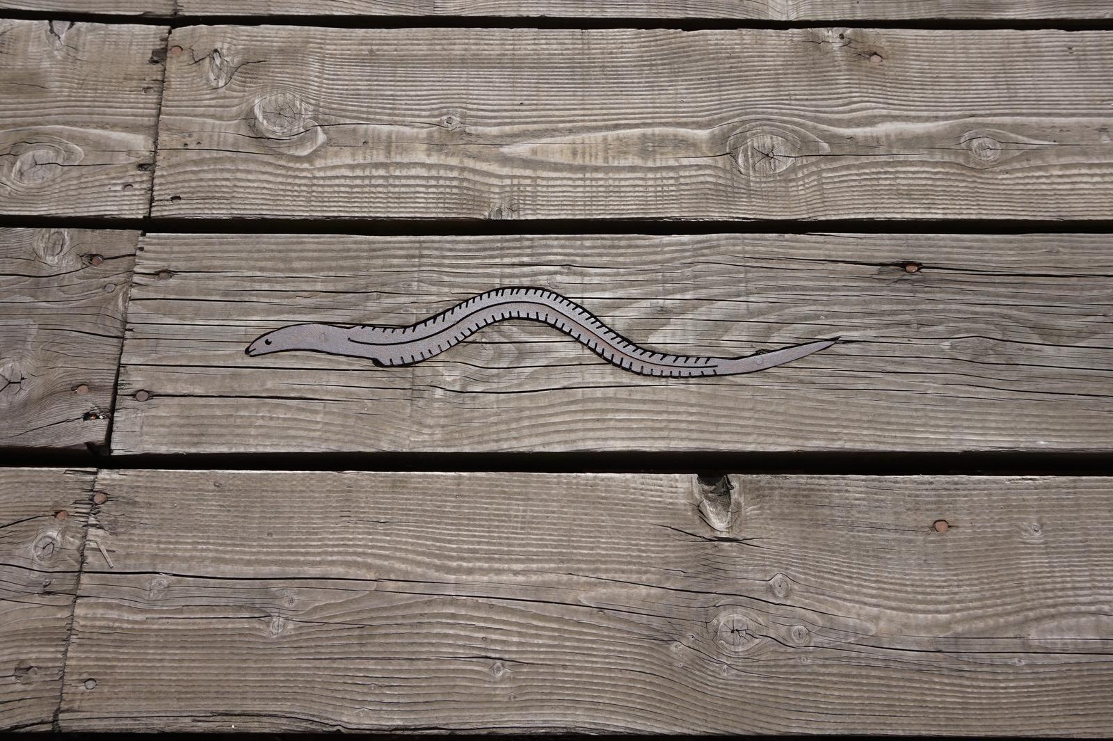 Seven Seas Fish Trail