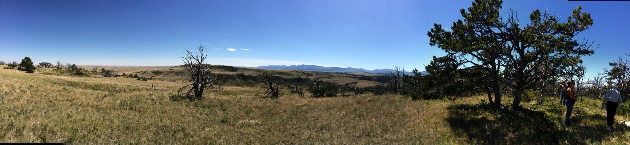 DeBoo's Ranch Adventure