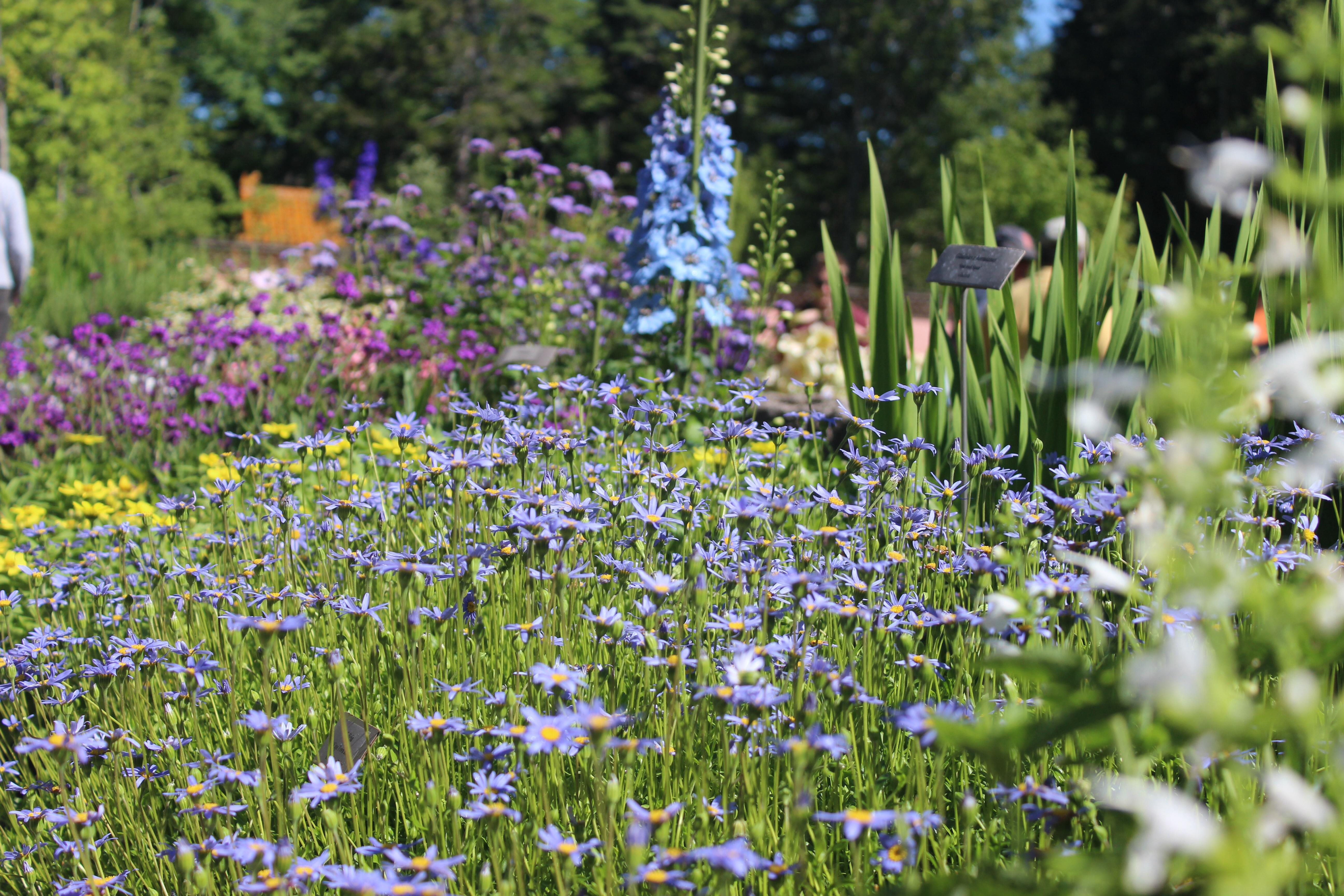 Abby Aldrich Rockefeller Garden