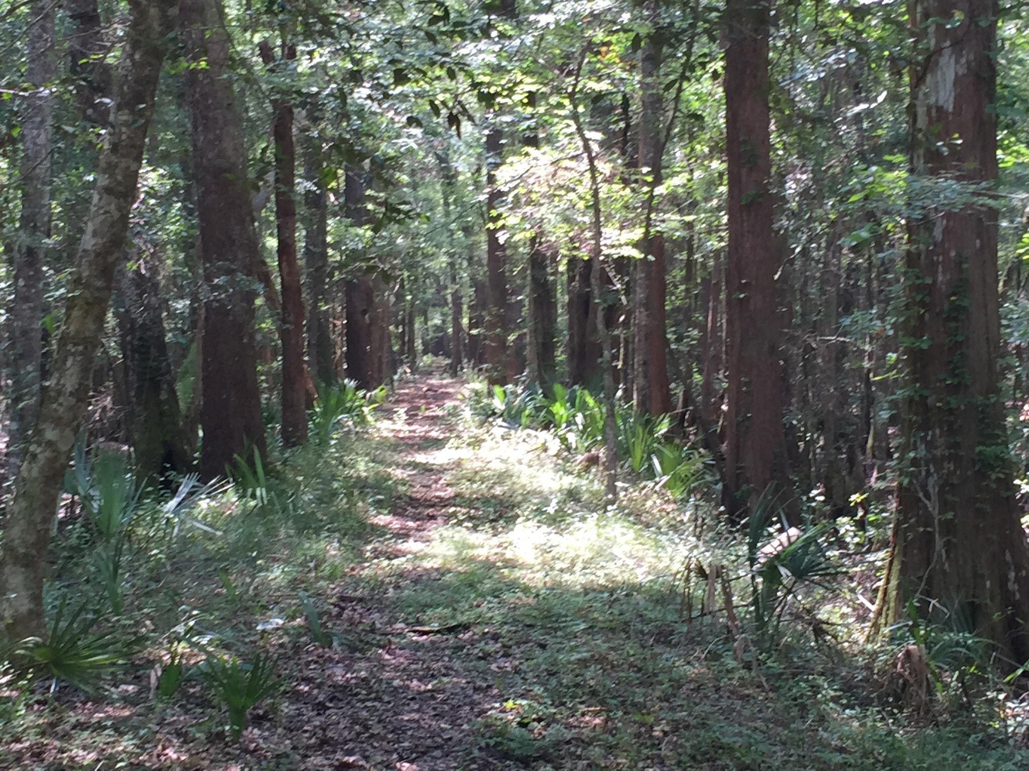 LeConte-Woodmanston Plantation and Botanical Gardens