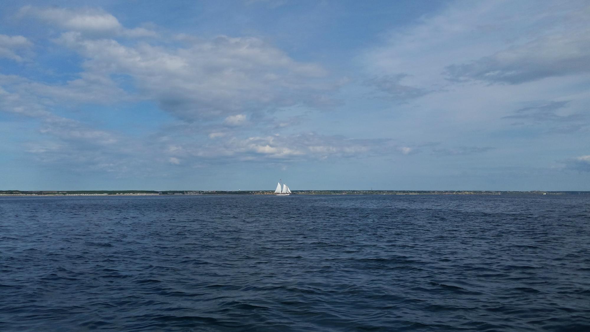 Dog Gone Sailing Charters