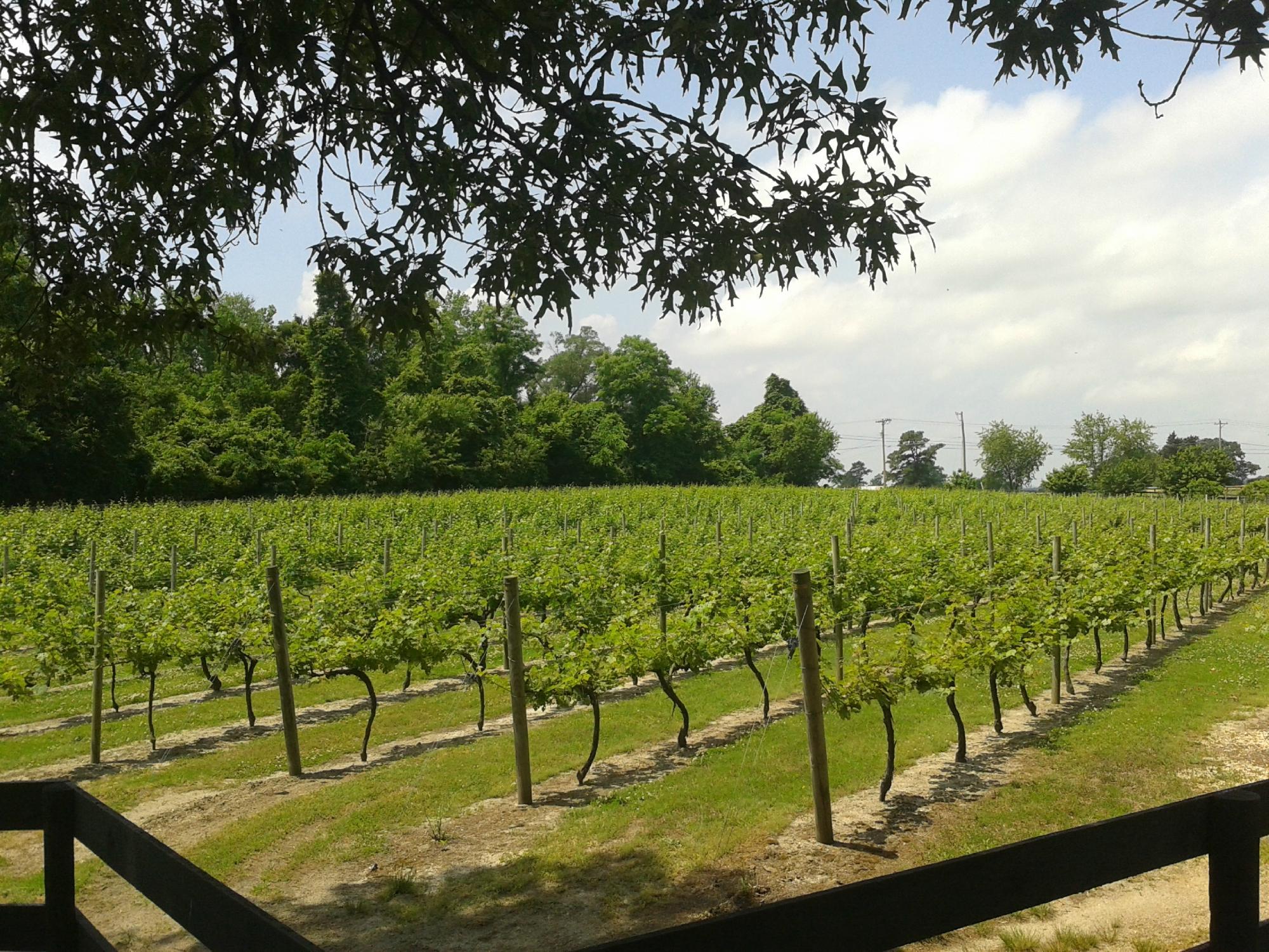 Perigeaux Vineyards & Winery