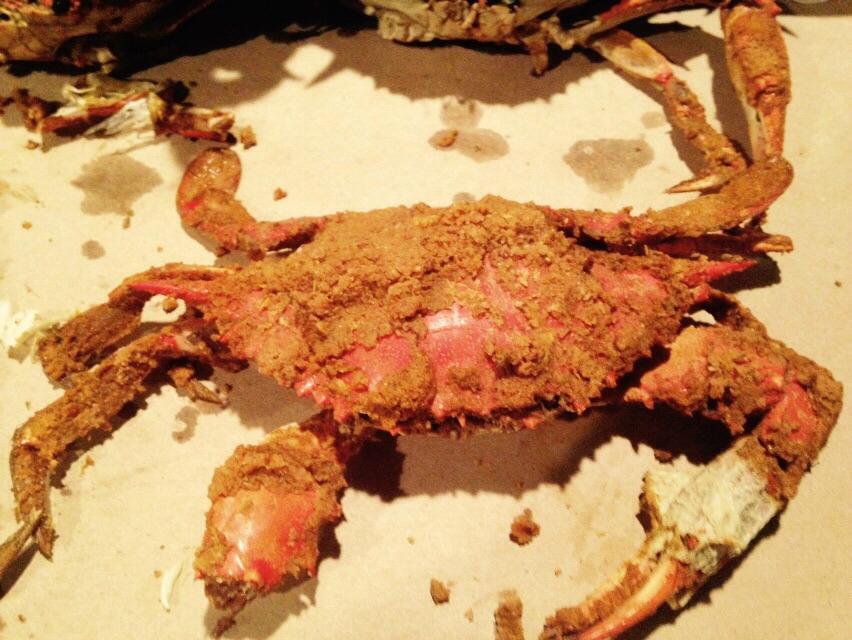 Photo by FlavioGiaveno_To_