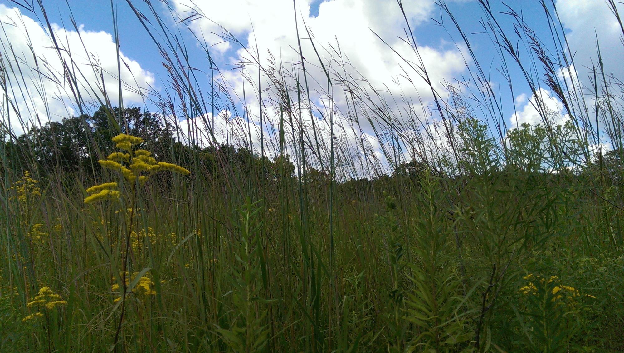 Black Rock Nature Preserve