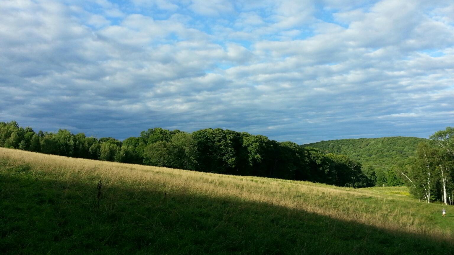 Feast and Field Market