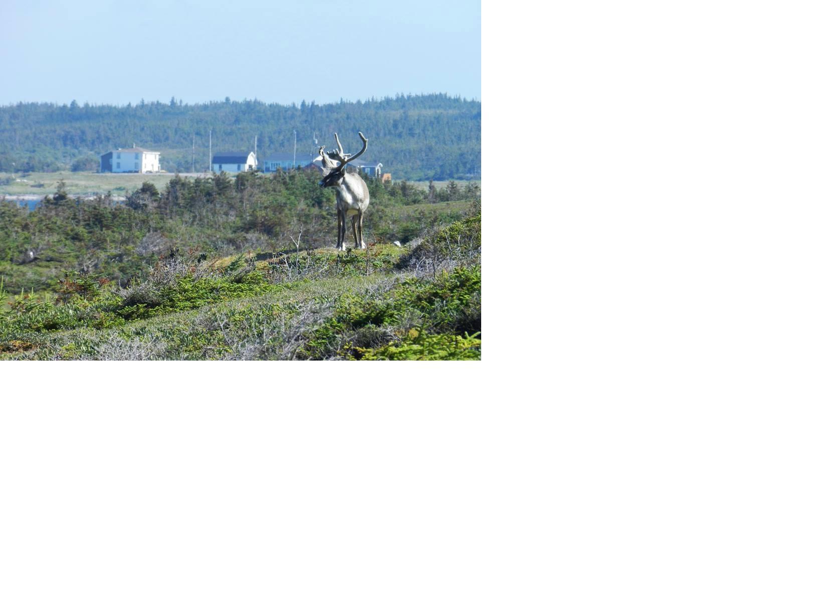 50 Centuries Interpretation Centre