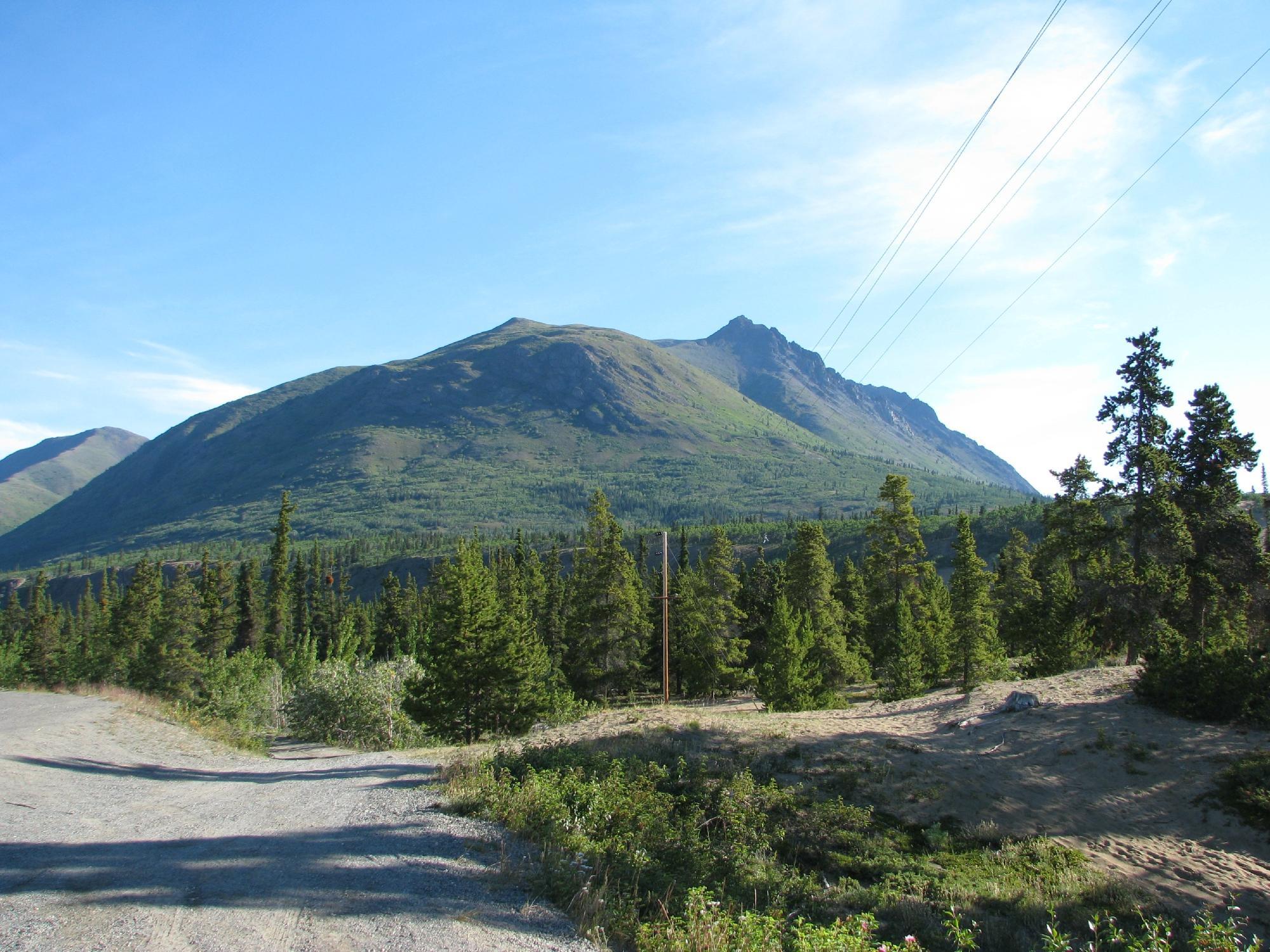 Carcross Desert