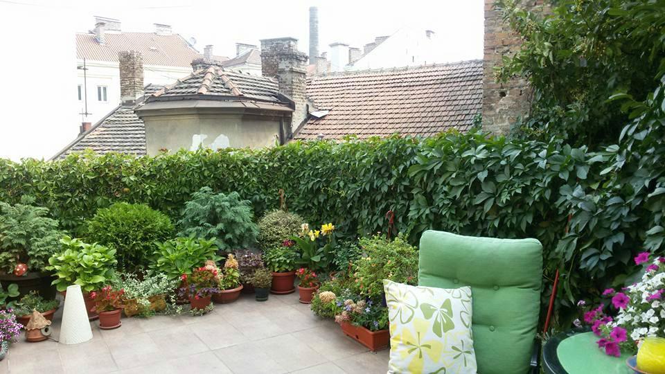 Apartments Skadarlija