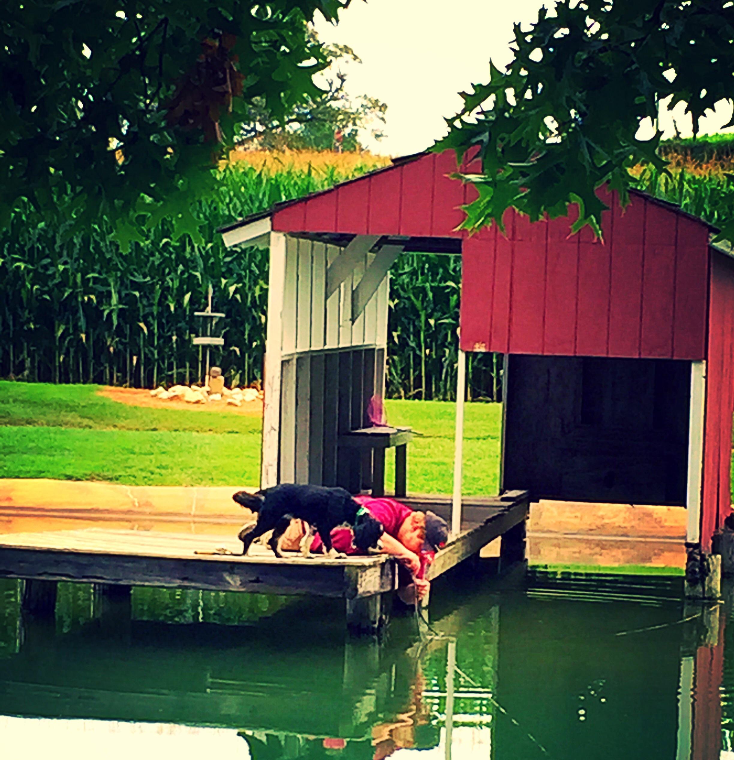 Beaver Creek Farm Cabins