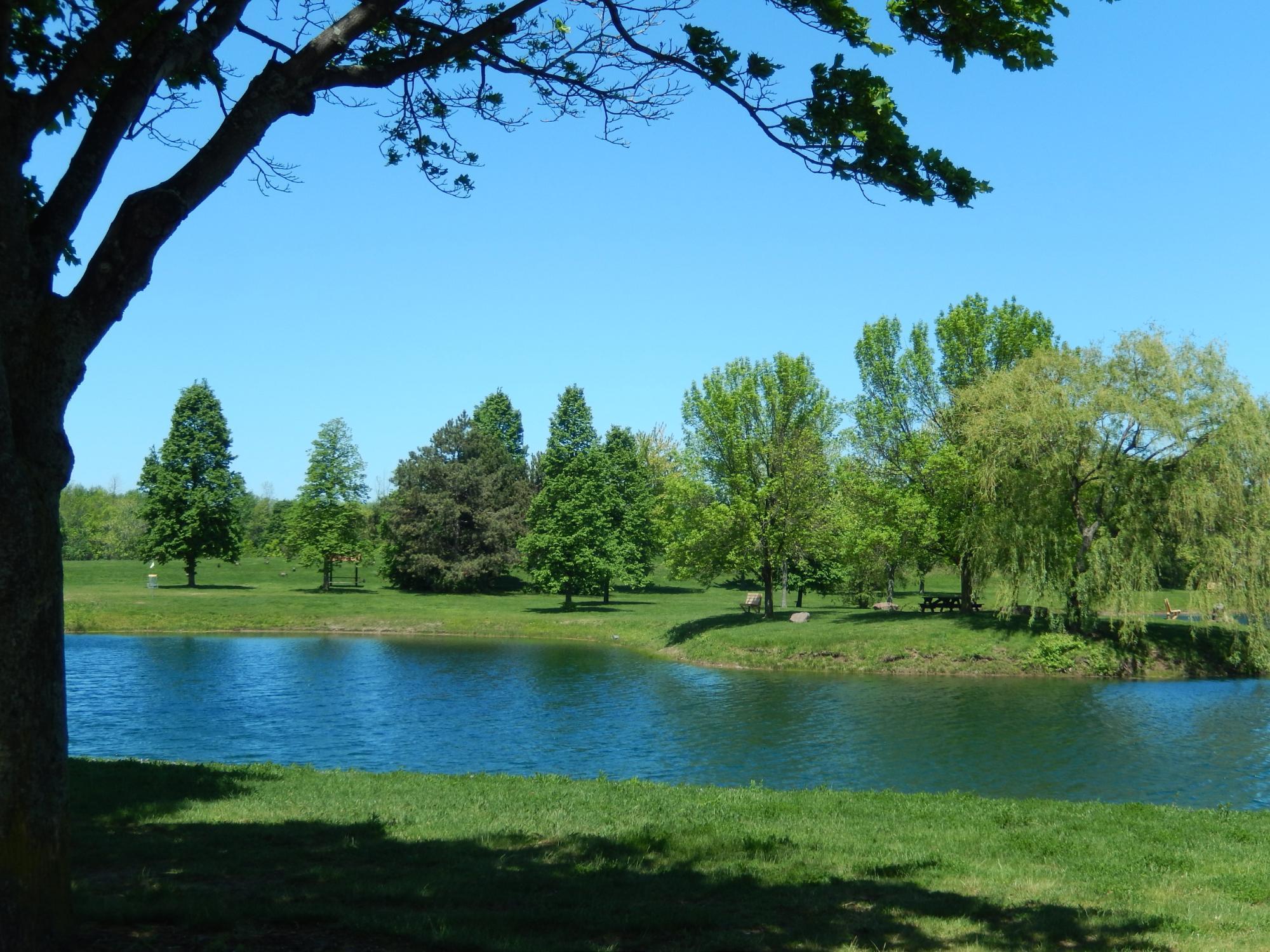 North Ponds Park