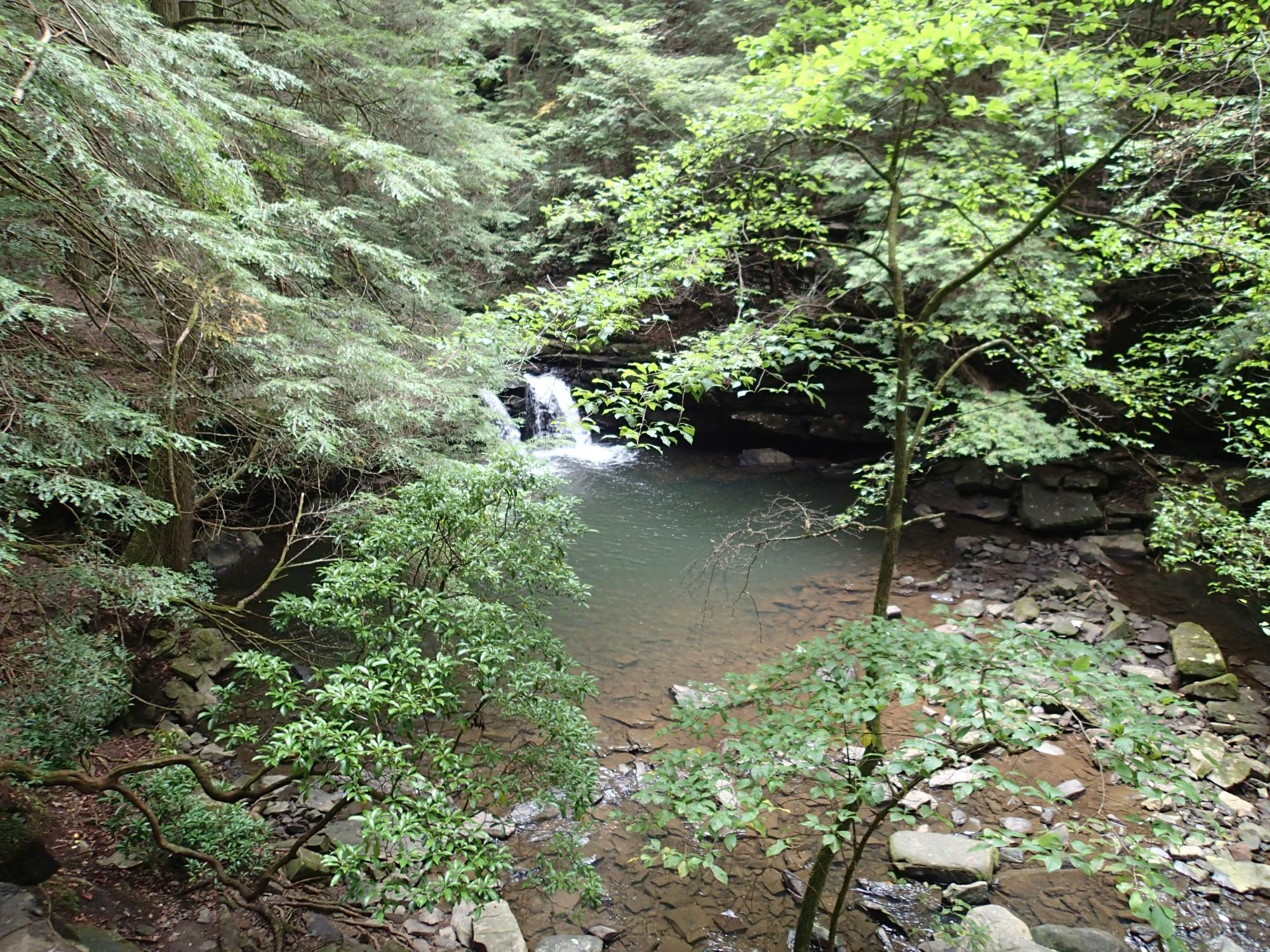 Fiery Gizzard Trail