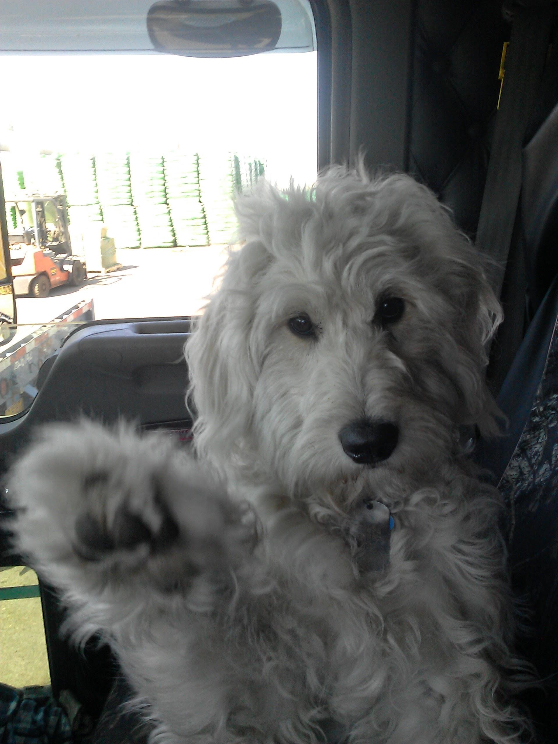 Photo by F7356GQmikeb