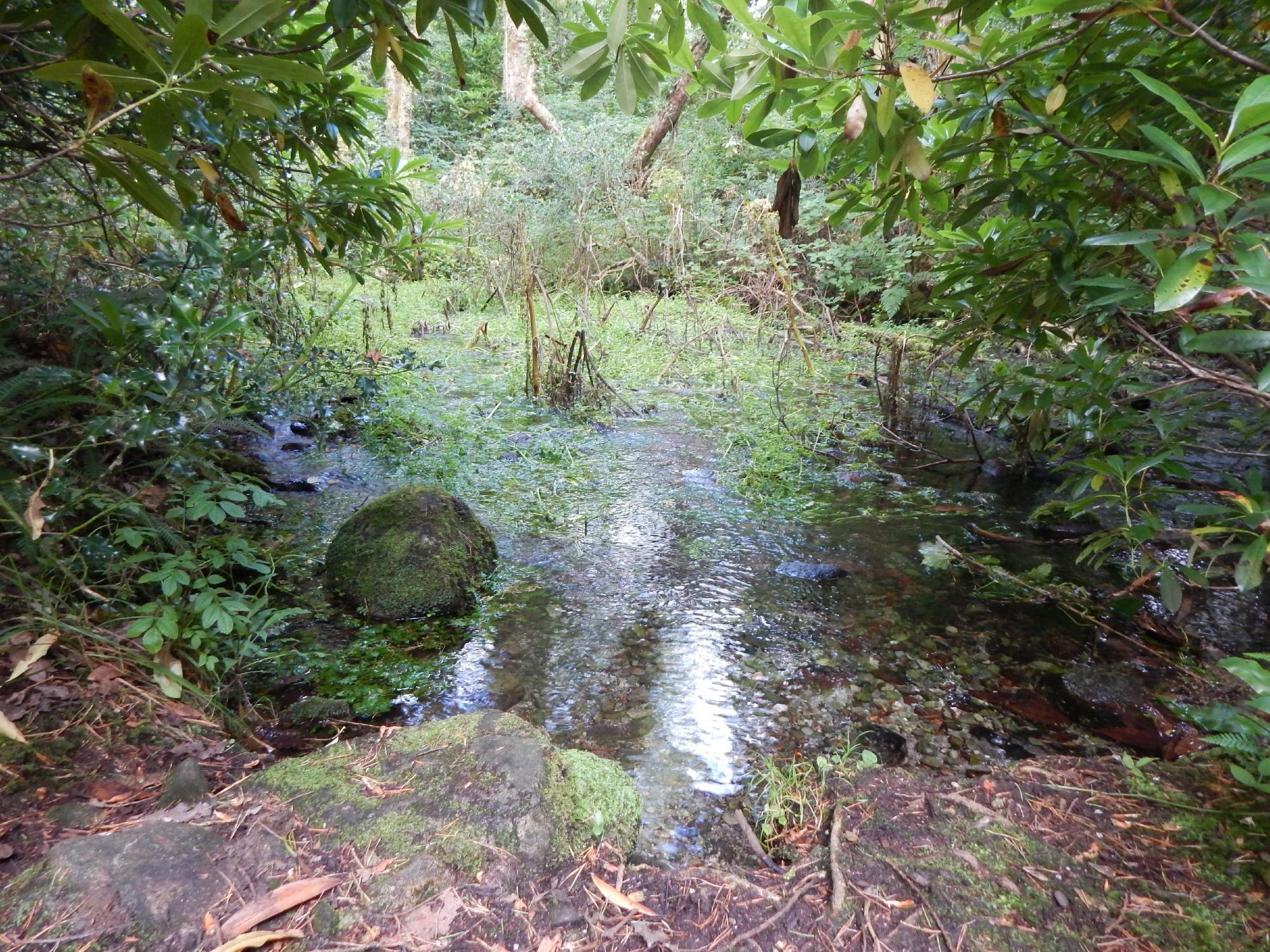 Cloghereen Blue Pool Walk