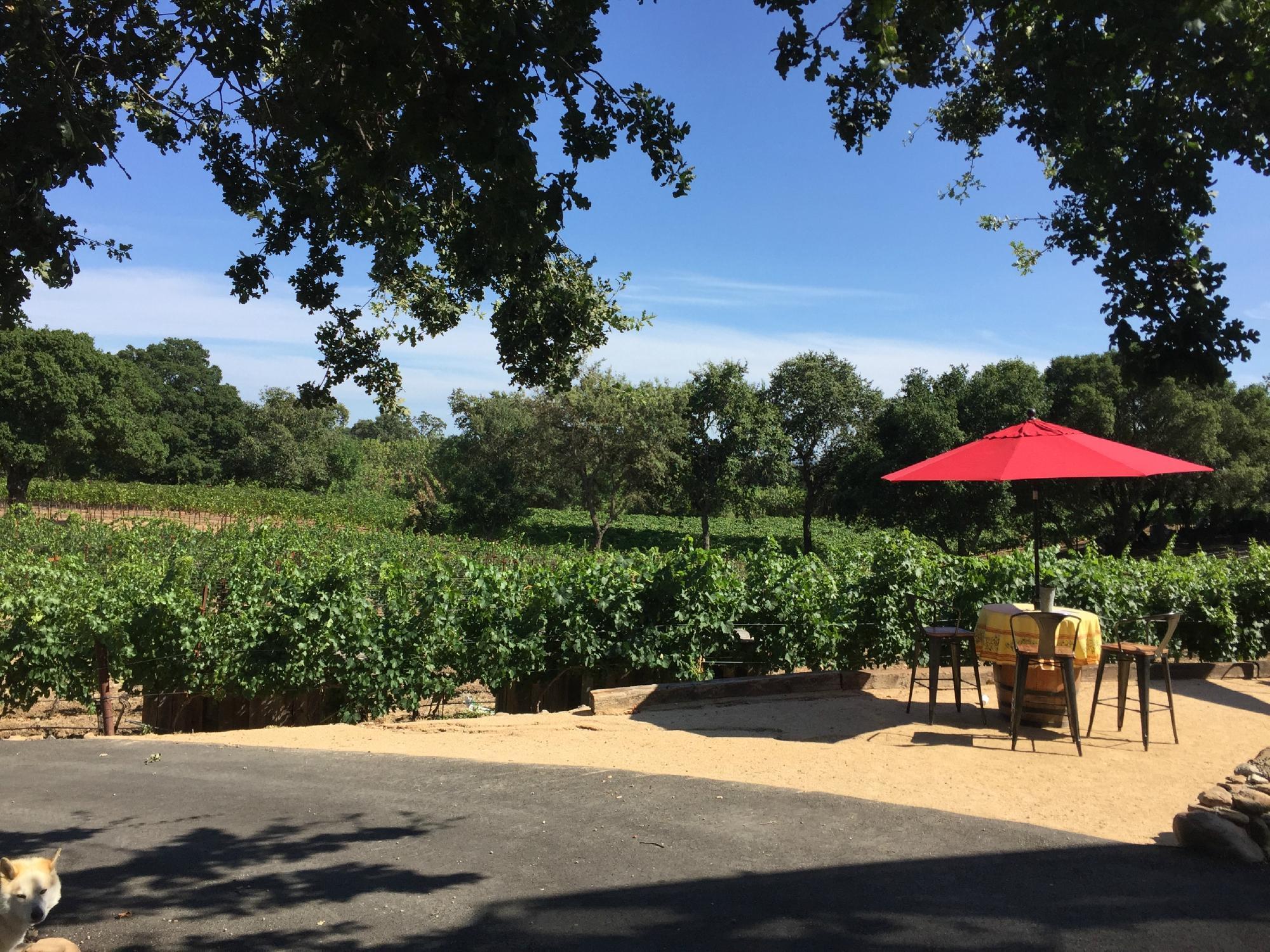 Little Vineyards Family Winery