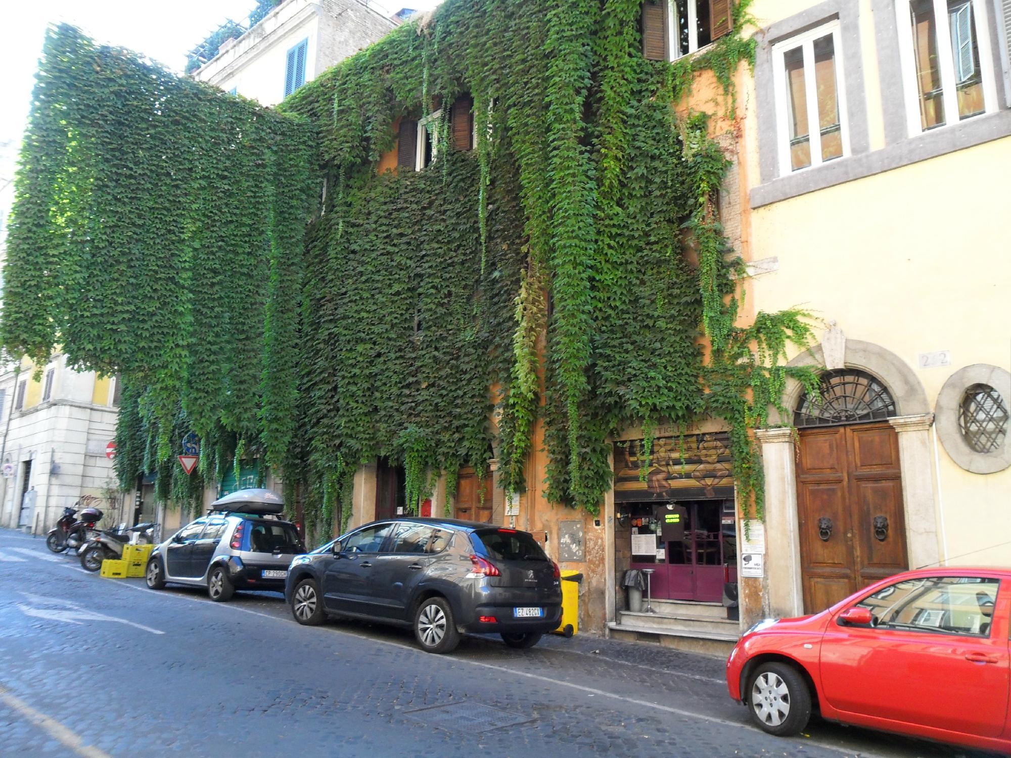 Photo by Travelliesje