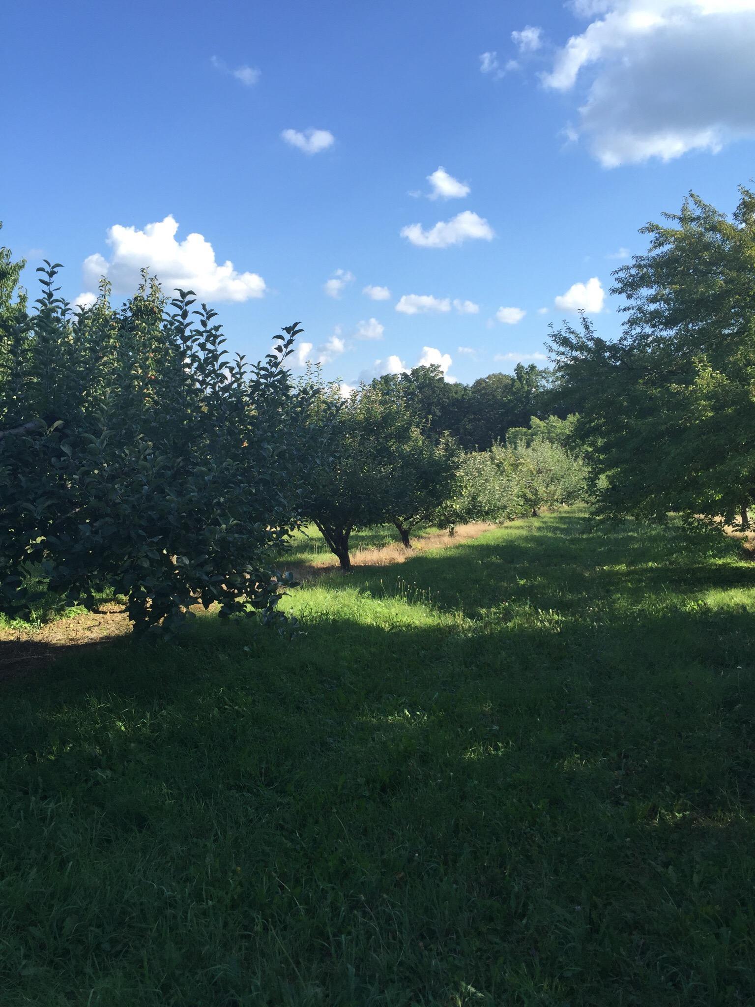 Aeppeltreow Winery
