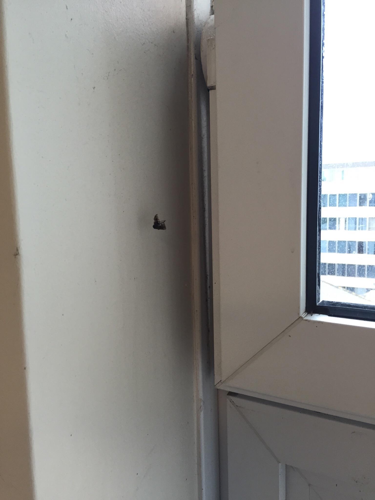 Photo by Xray5555555