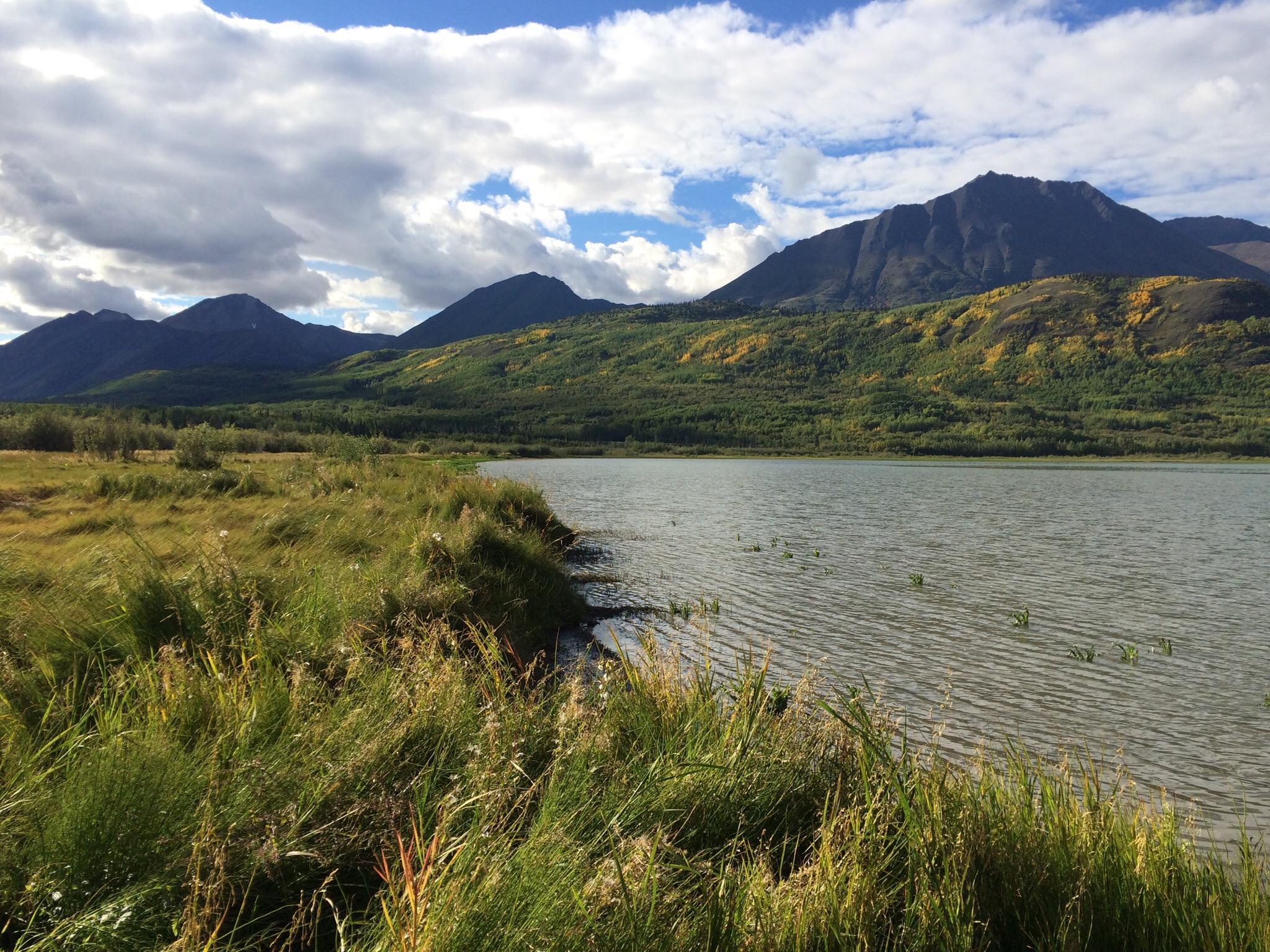Moe's Yukon Ranch Adventures Hostel