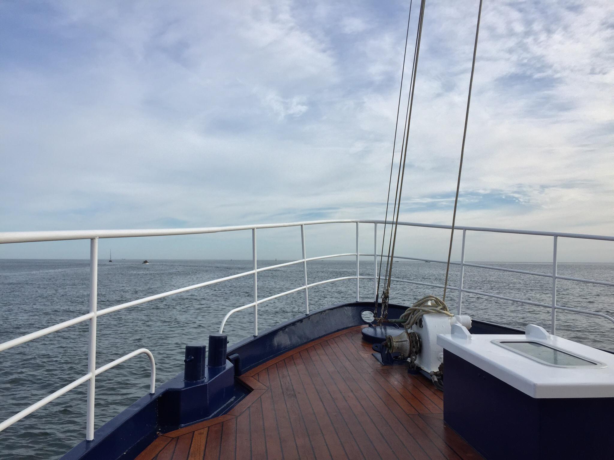 Whitby Whale Watching