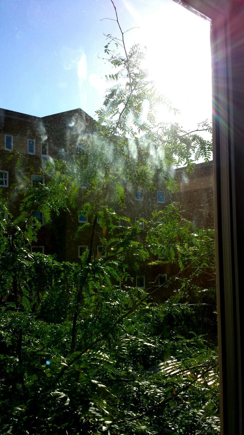 Great Dover Street Apartments