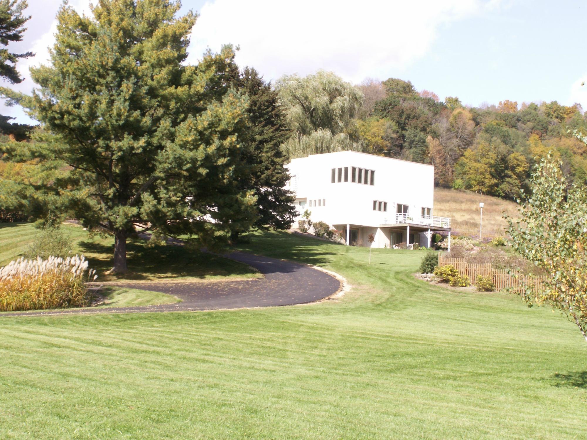 Rembrandt and Rutabagas