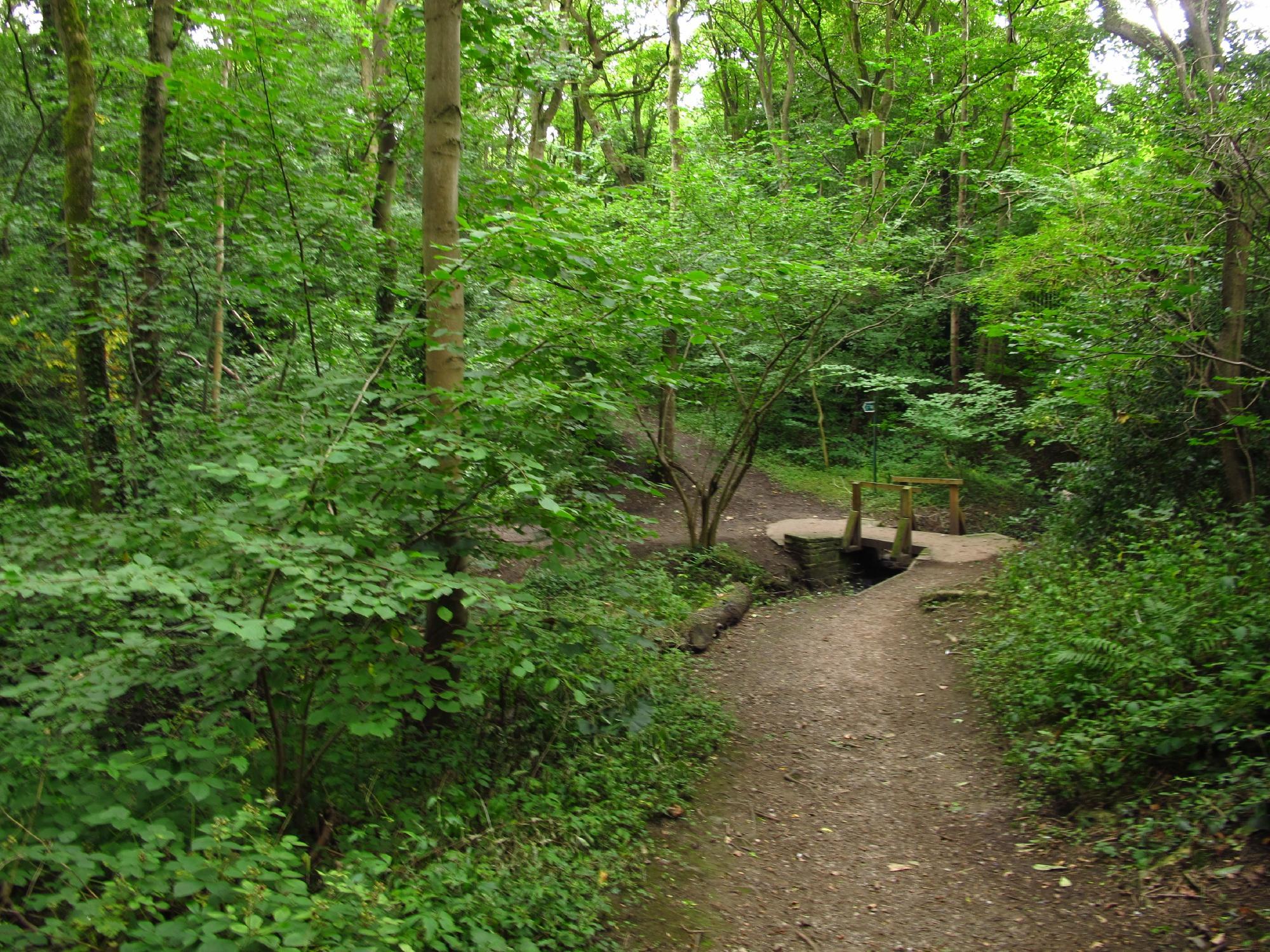 Sheffield Round Walk