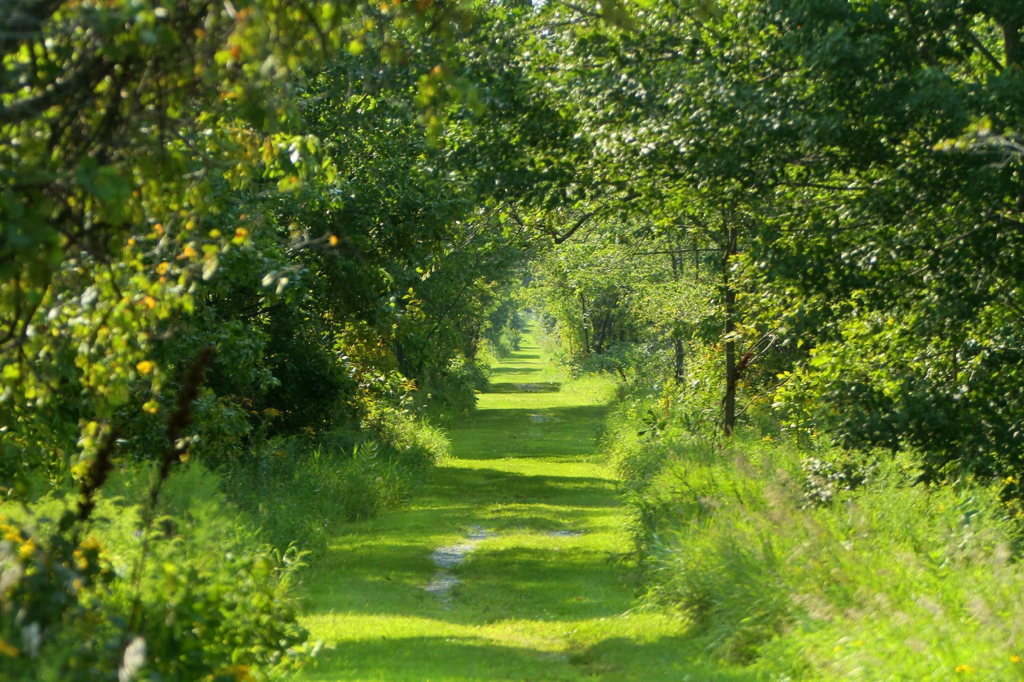 Missisquoi National Wildlife Refuge