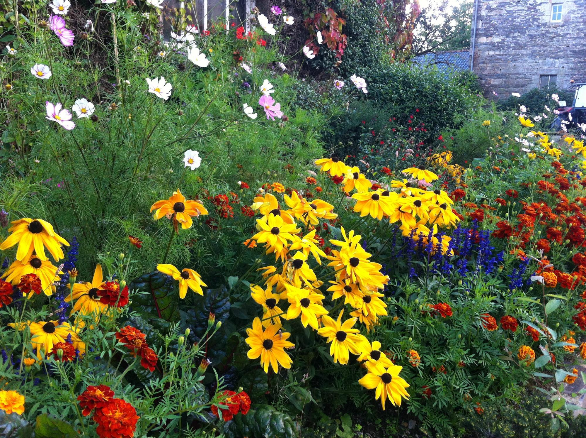 Chambres D'hotes La Ferme De Bizoin