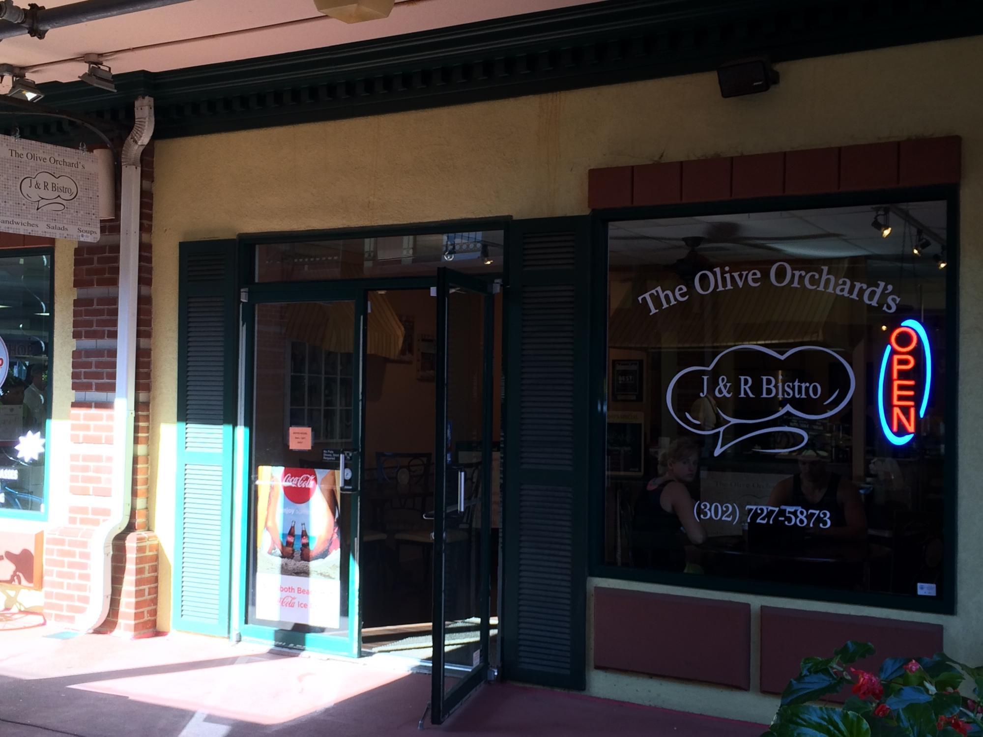 Olive Orchard