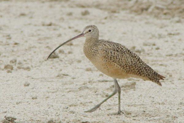 Twin Lakes Golf Course