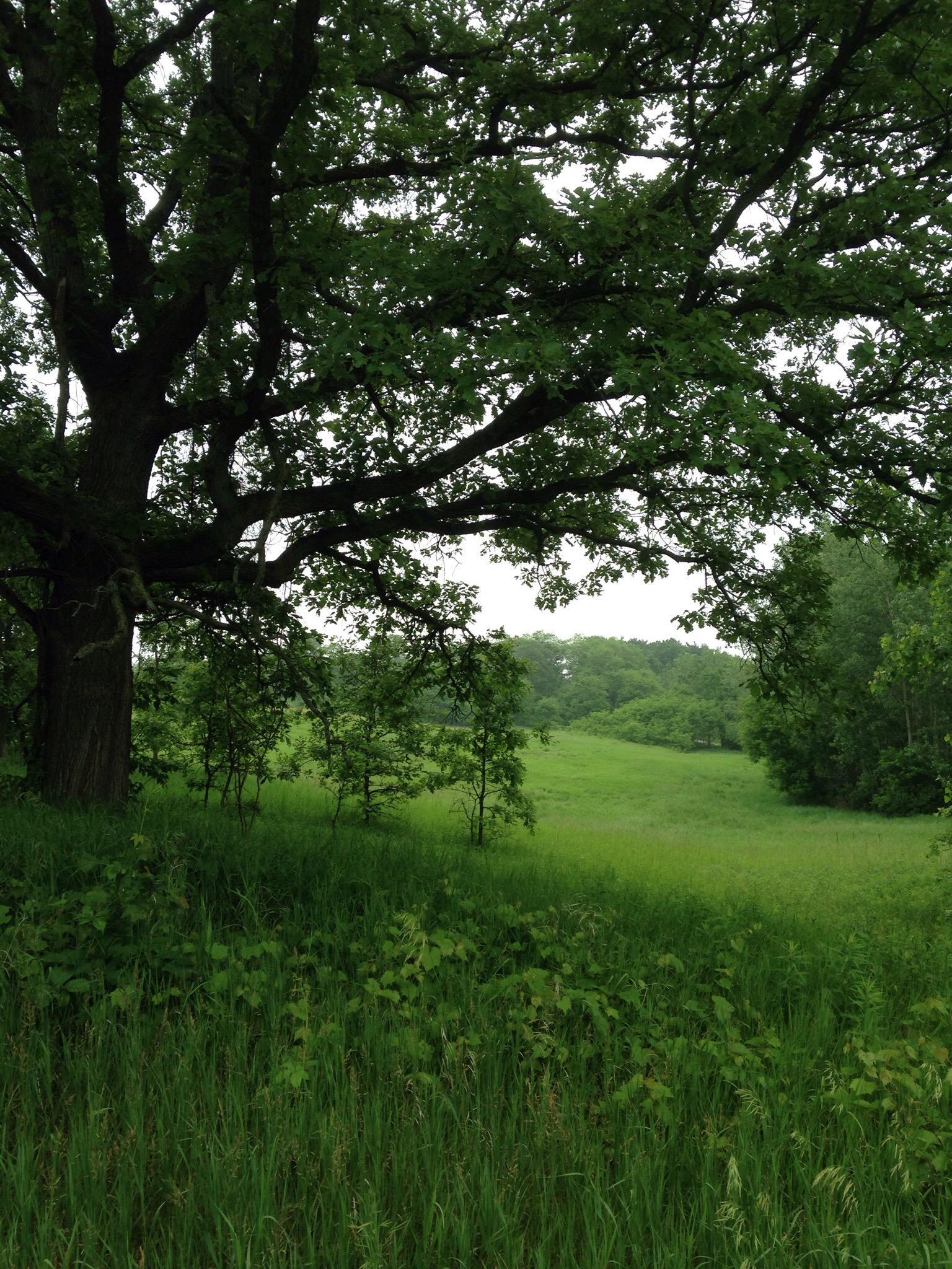 Island Lake State Recreation Area