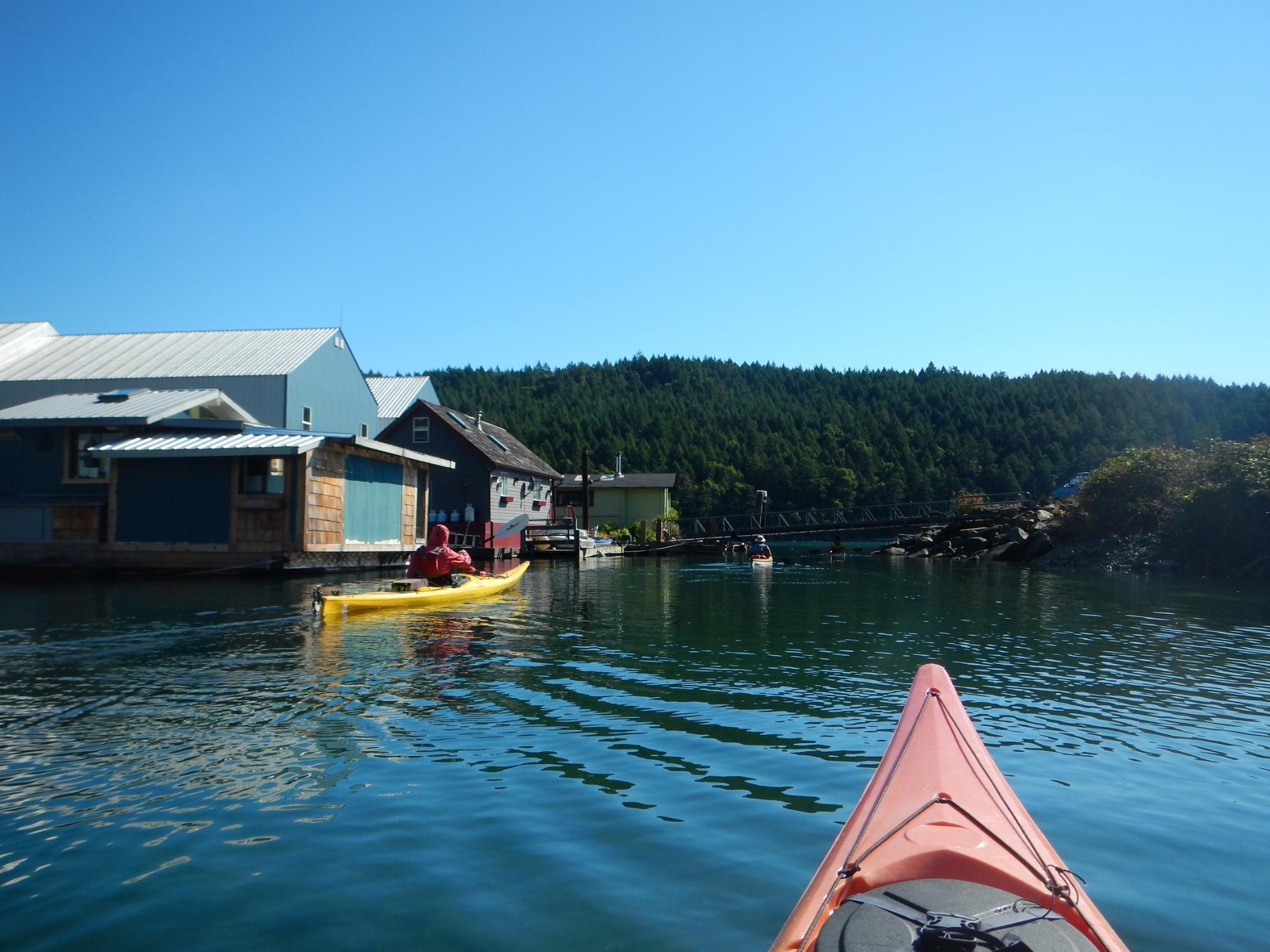 Wilderness Kayaking Co