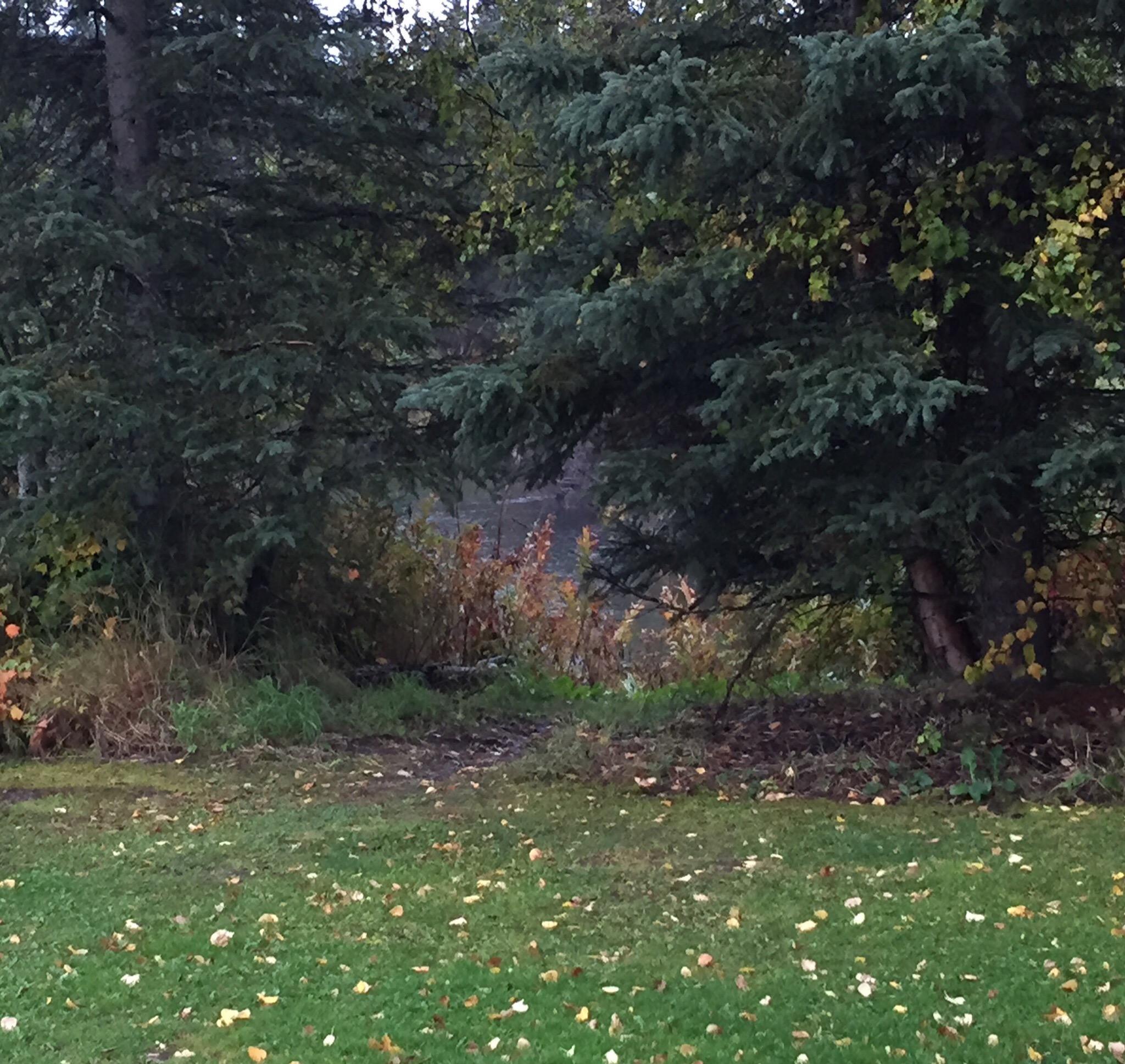 Riverside Camper Park