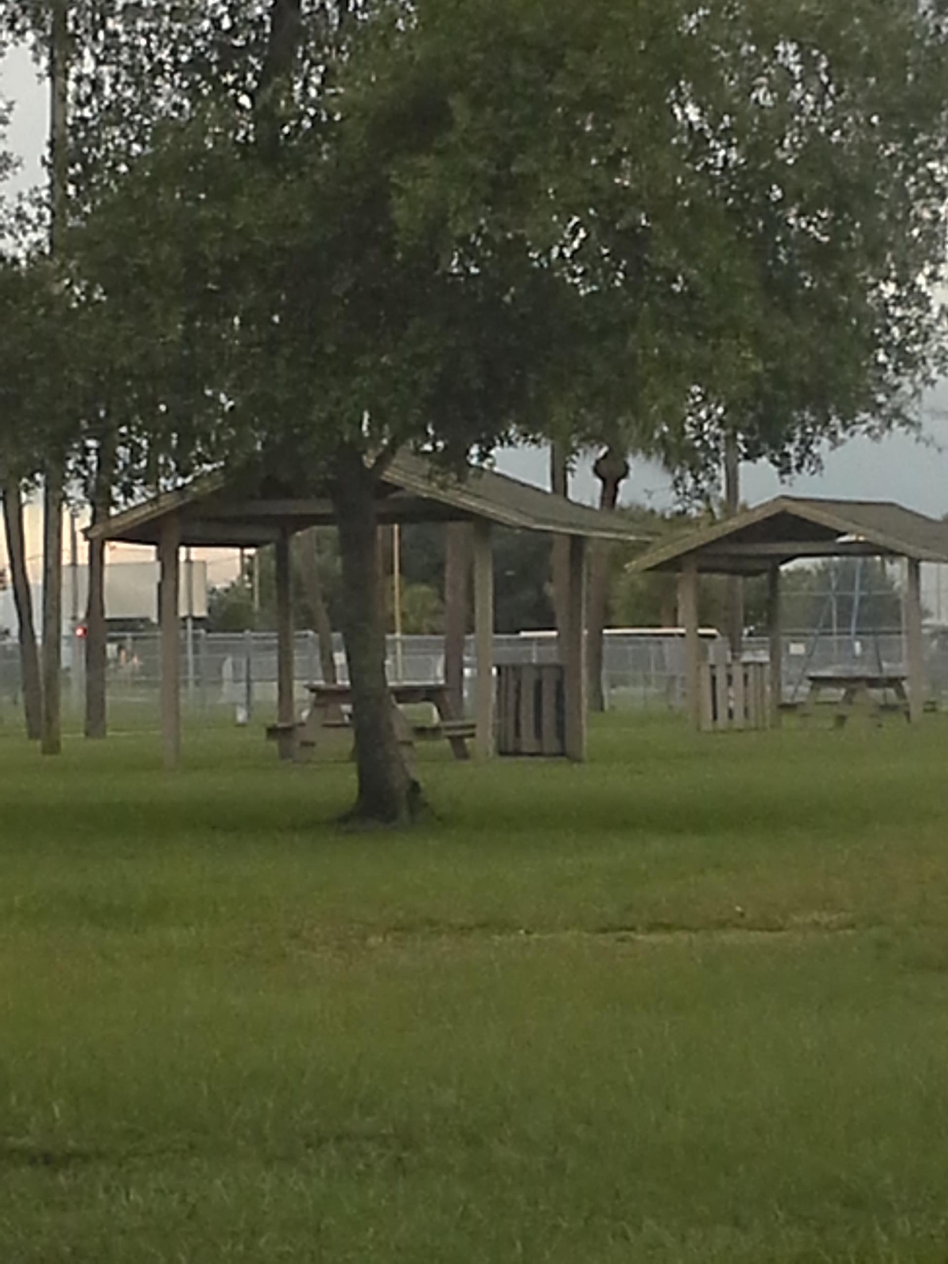 Howard Coffin Park