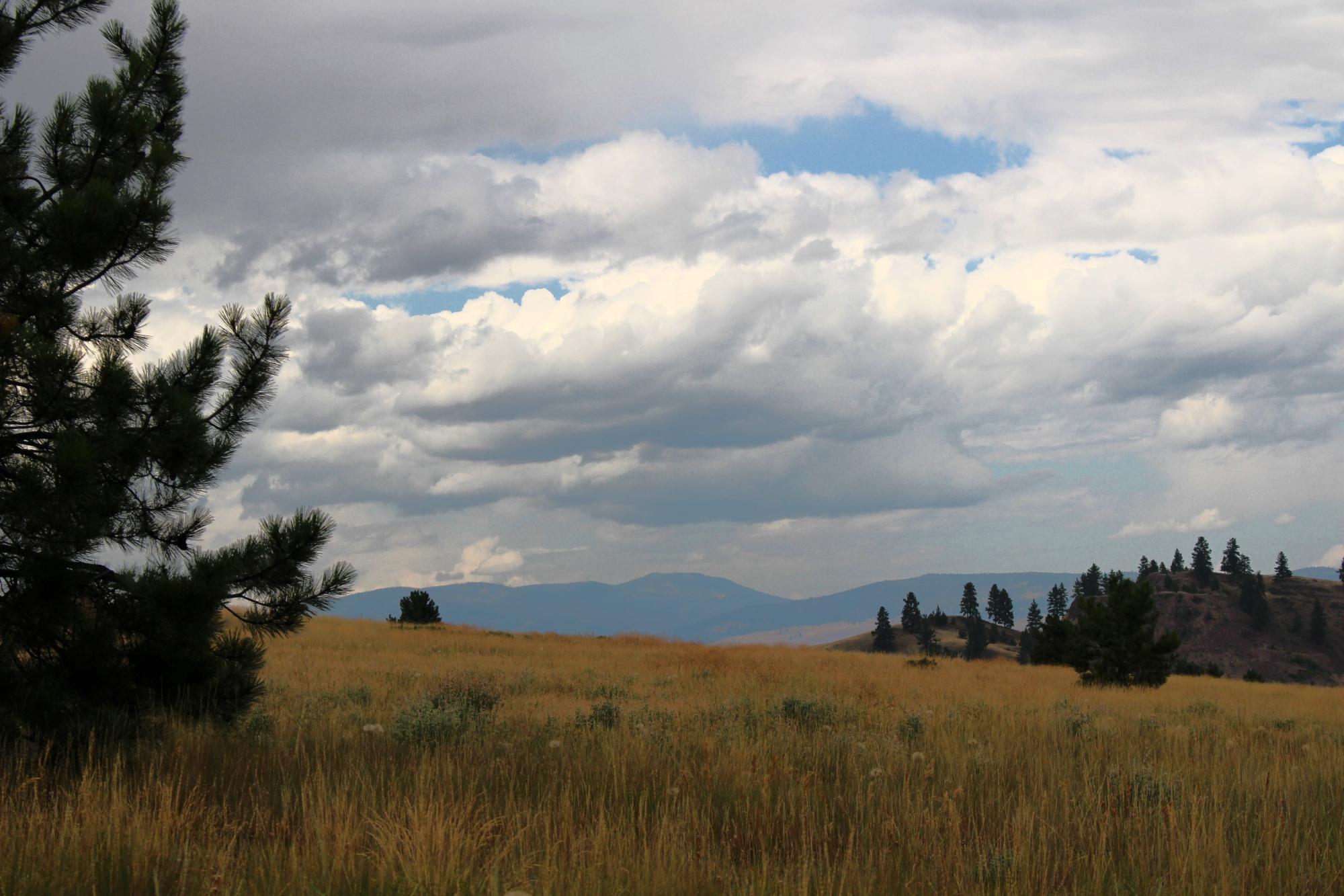 Blue Mountain Recreational Area