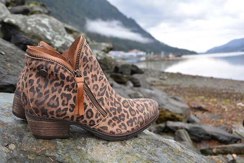 Shoefly Alaska